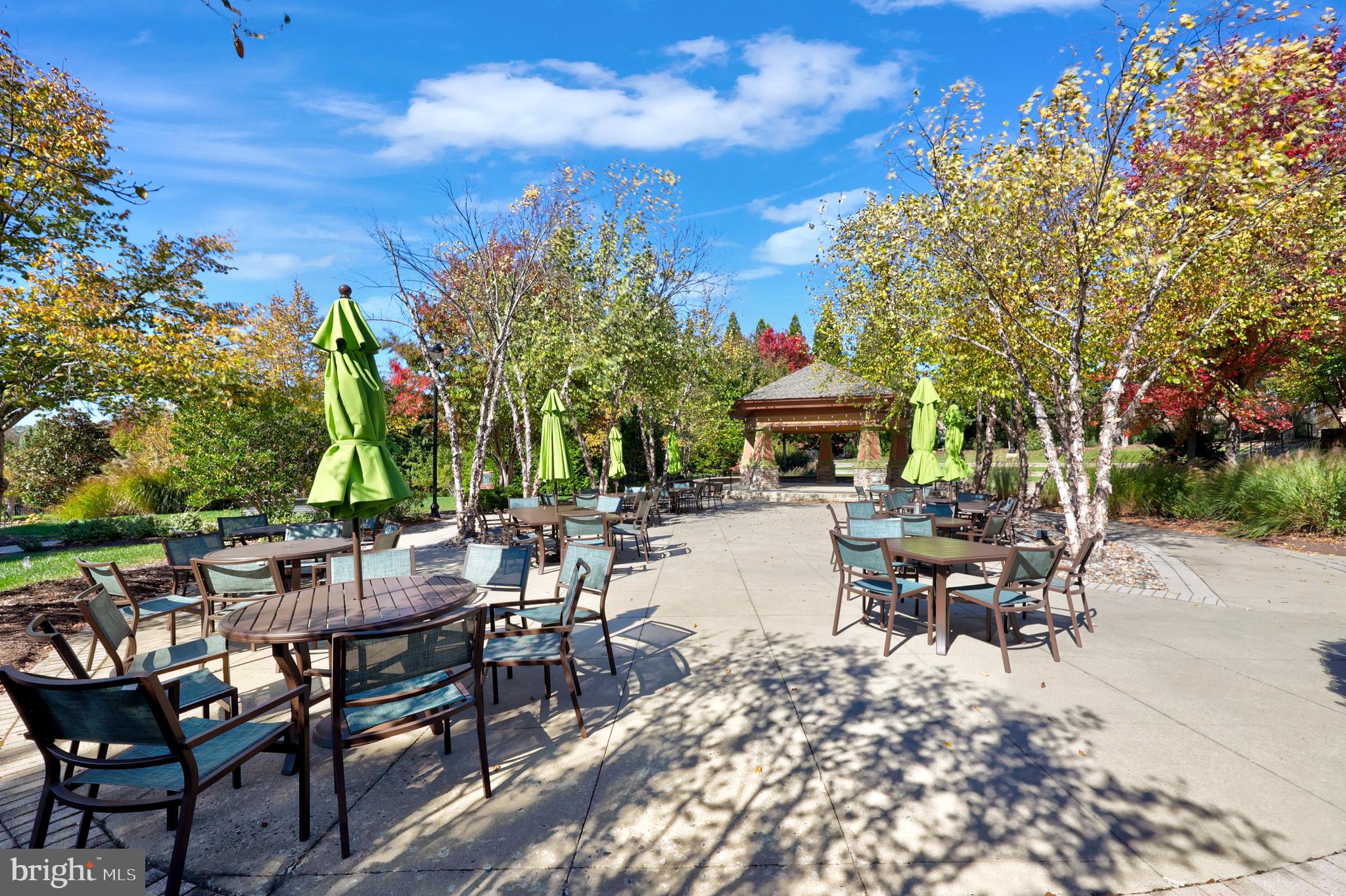 CELEBRATE VIRGINIA NORTH - Residential