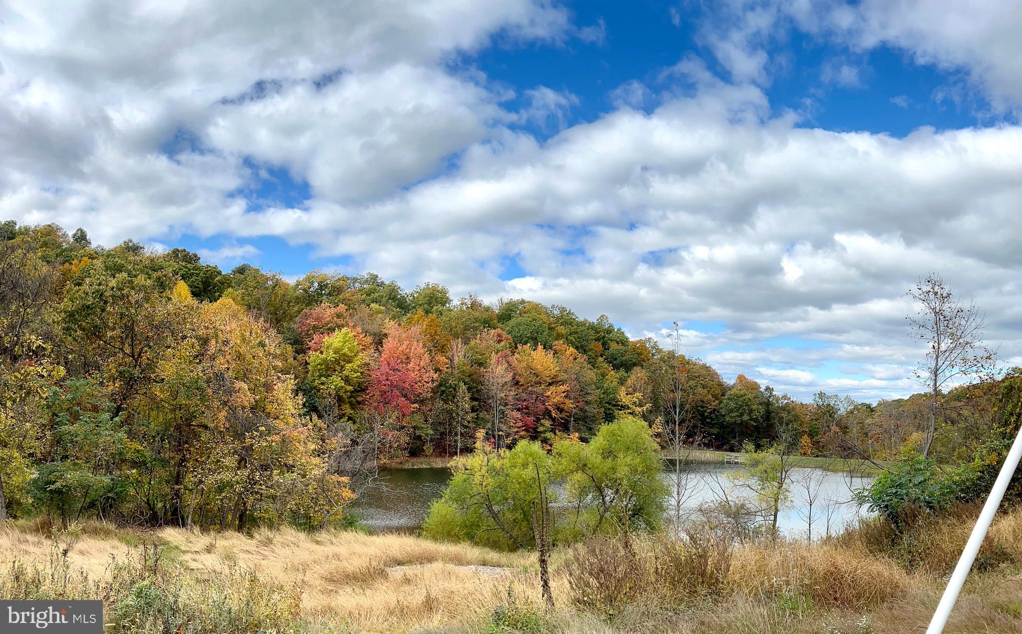 SHEN FARMS MT LAKE - Residential