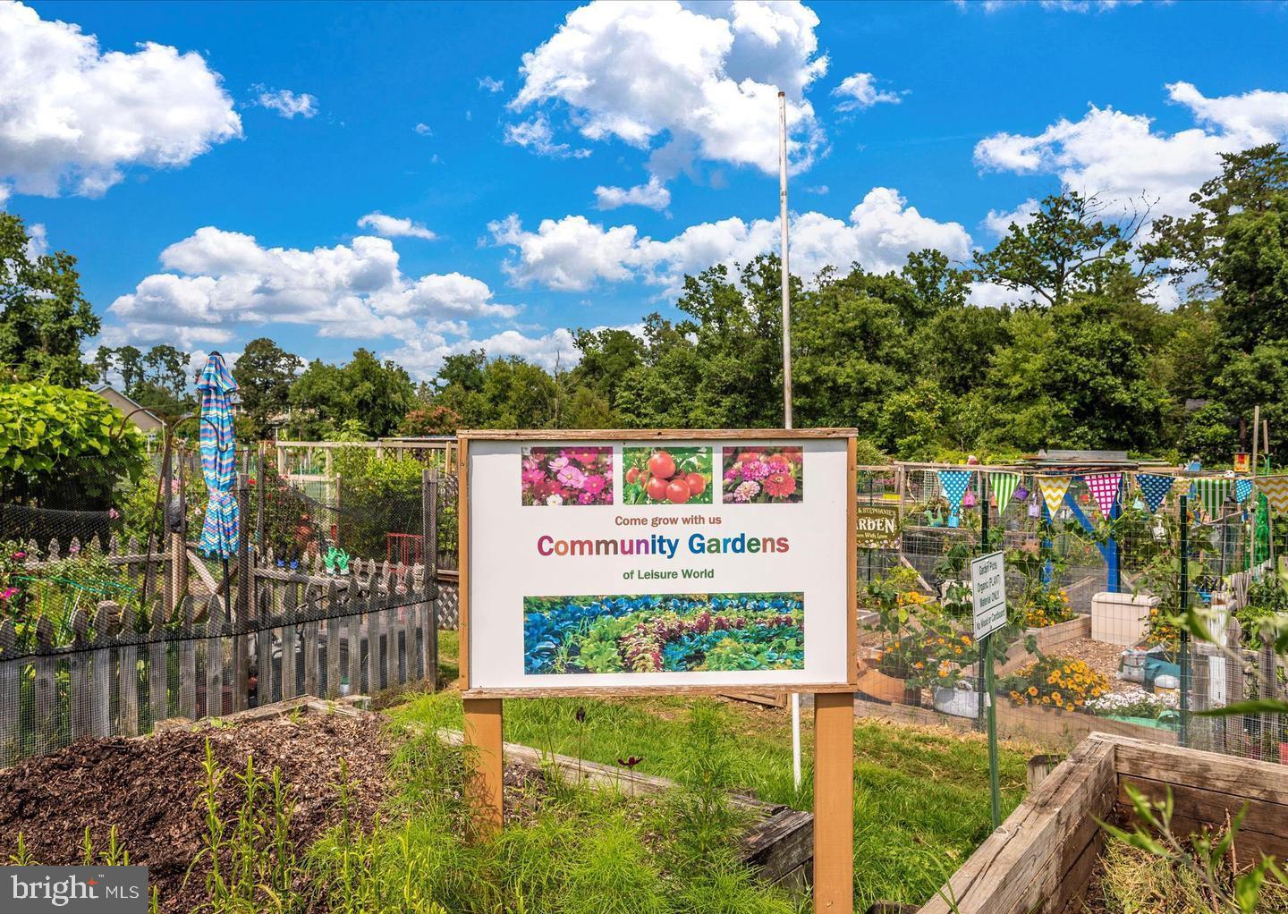 GREENS AT LEISURE WORLD - Residential