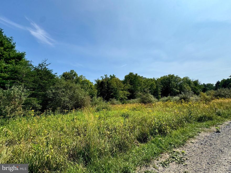Nice 5+ Acre lot backing on a peaceful stream, with a mix of partial clearing and wooded areas. The property spans both sides of a state-maintained gravel road, providing easy access and ample space for your plans. This partially level lot features easy terrain and offers an ideal build site, making it perfect for recreational use or a weekend cabin getaway. Just minutes from Warden Lake, it’s an excellent spot for fishing, boating, and kayaking. Tall pines surround the lot, enhancing the tranquil atmosphere, while a small stream runs along the back. Outdoor enthusiasts will love the easy access to hiking, hunting, and exploring the George Washington National Forest and Trout Pond State Park. Located just 5 miles from Wardensville, WV, for supplies and dining, this property is less than 2 hours from the beltway—your perfect escape from the hustle and bustle of city life to enjoy the great outdoors every weekend!