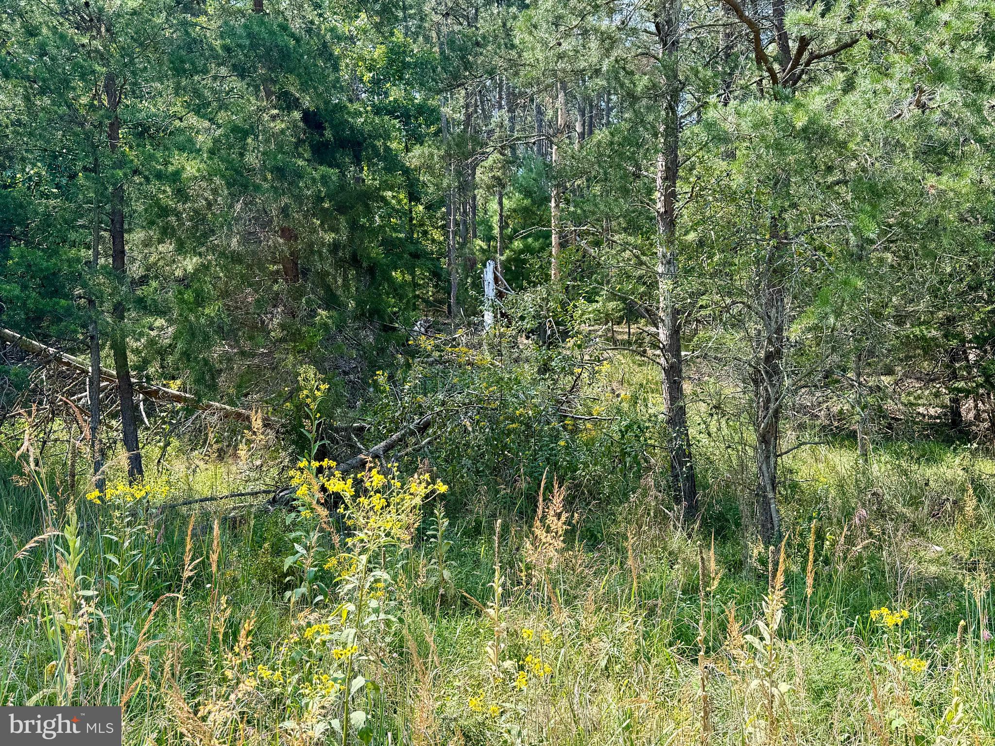 Lot 48 WARDEN HOLLOW S-D LAKE