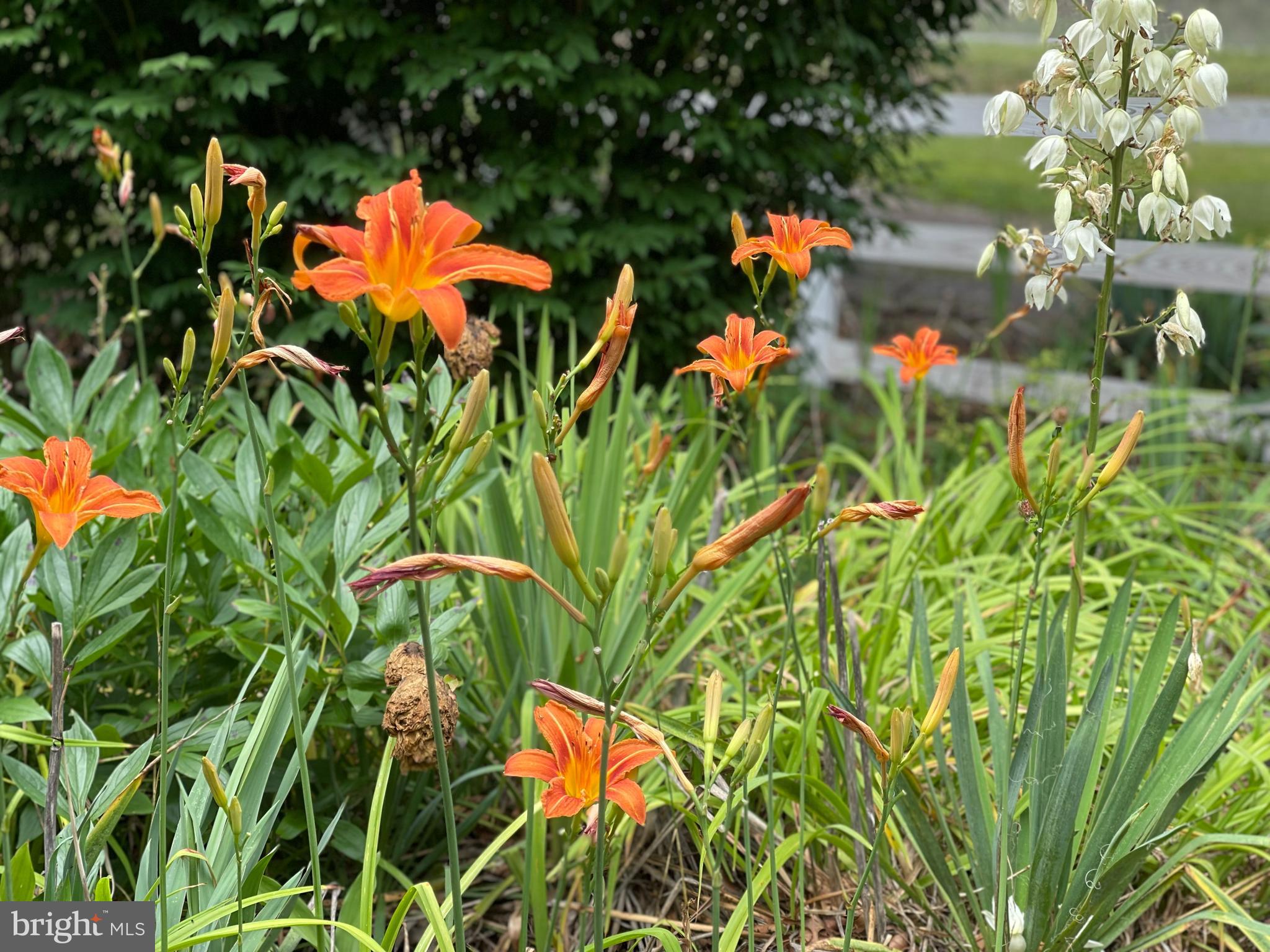 WHISPERING PINES - Residential