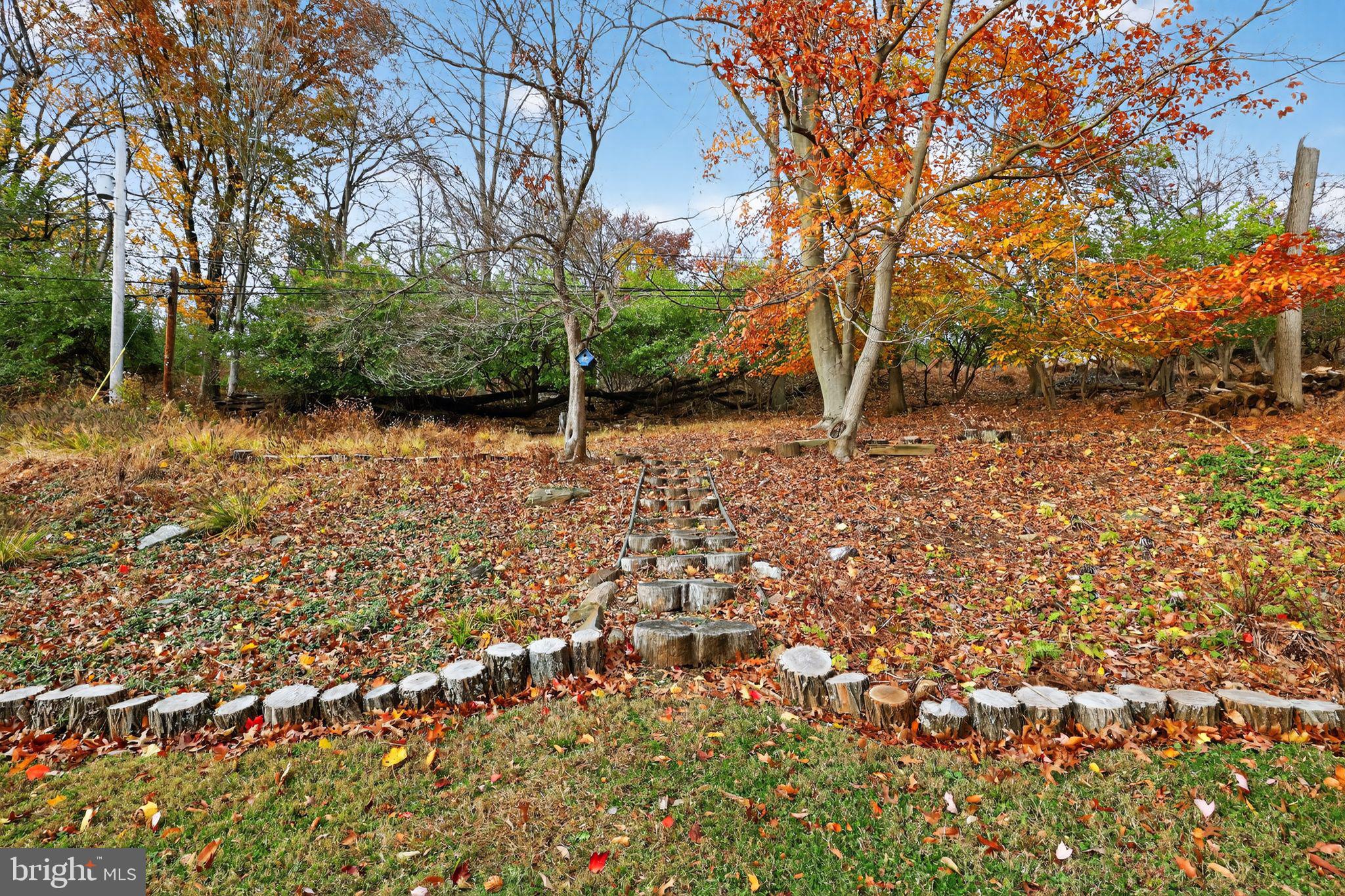 WYNDMOOR - Residential