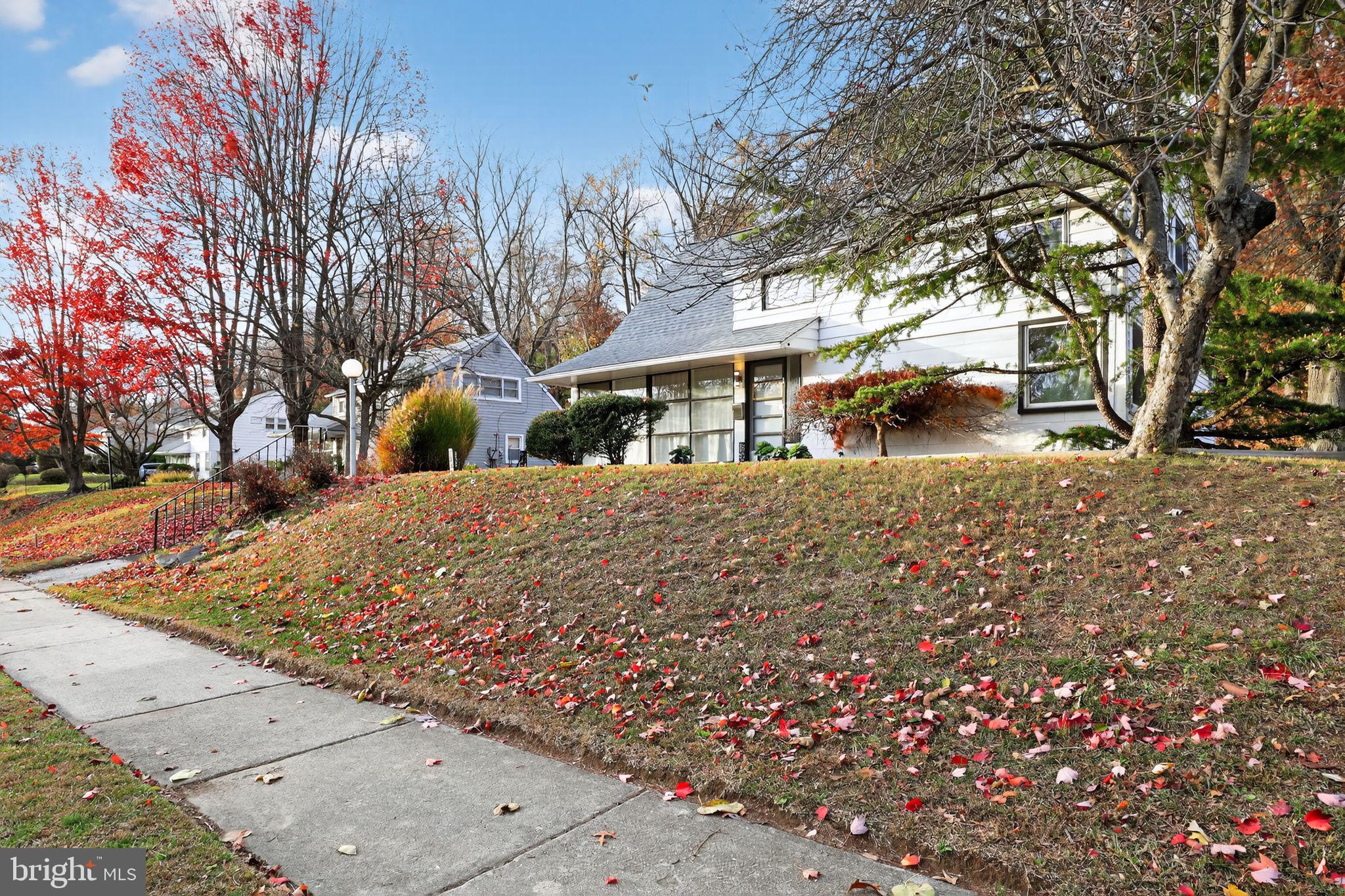 WYNDMOOR - Residential