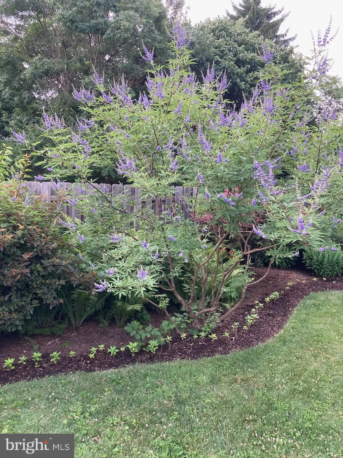 Princeton, New Jersey 08540, United States, 3 Bedrooms Bedrooms, ,2 BathroomsBathrooms,Residential,Active,249715