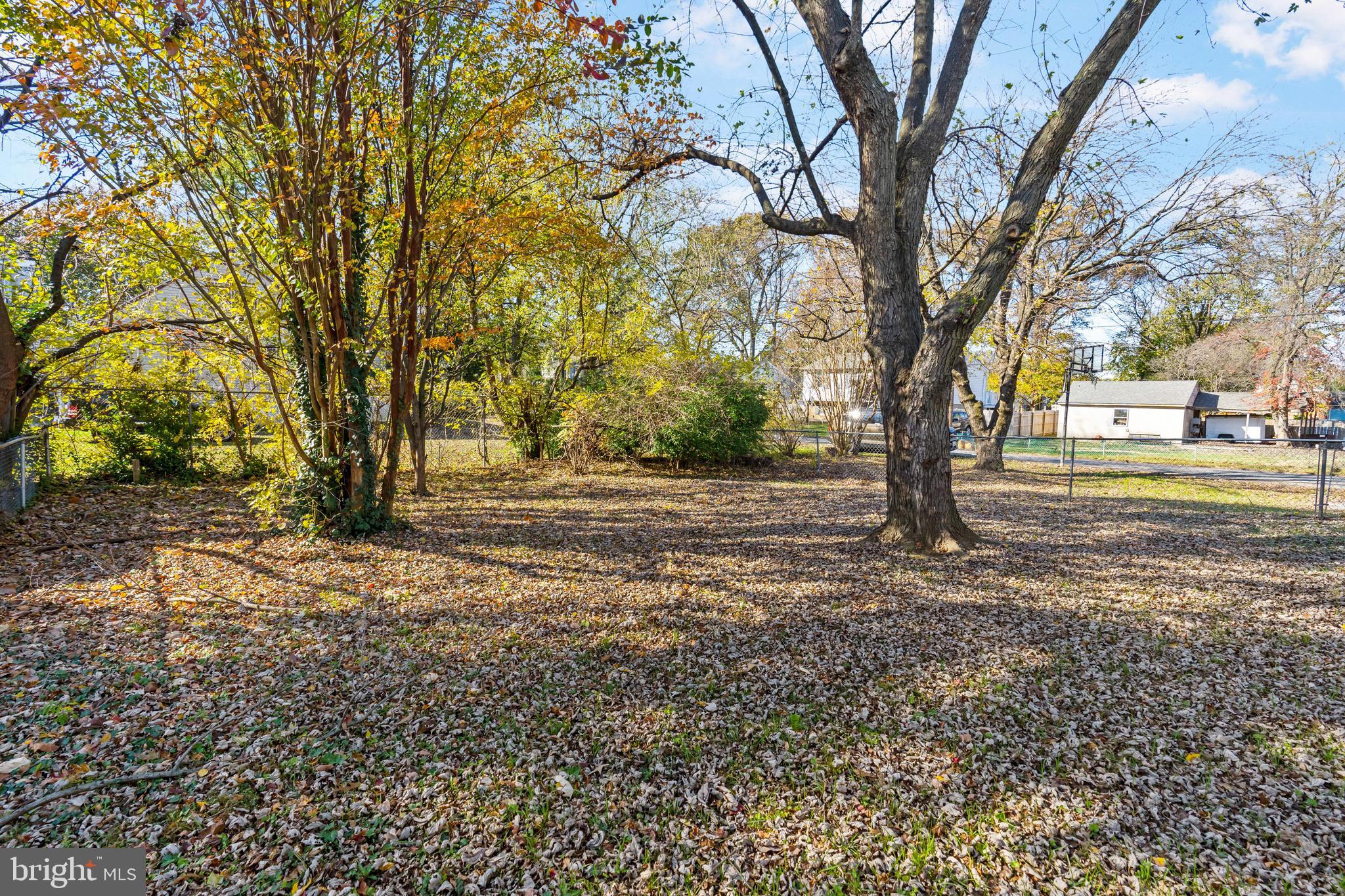 WOODLAWN HEIGHTS - Residential