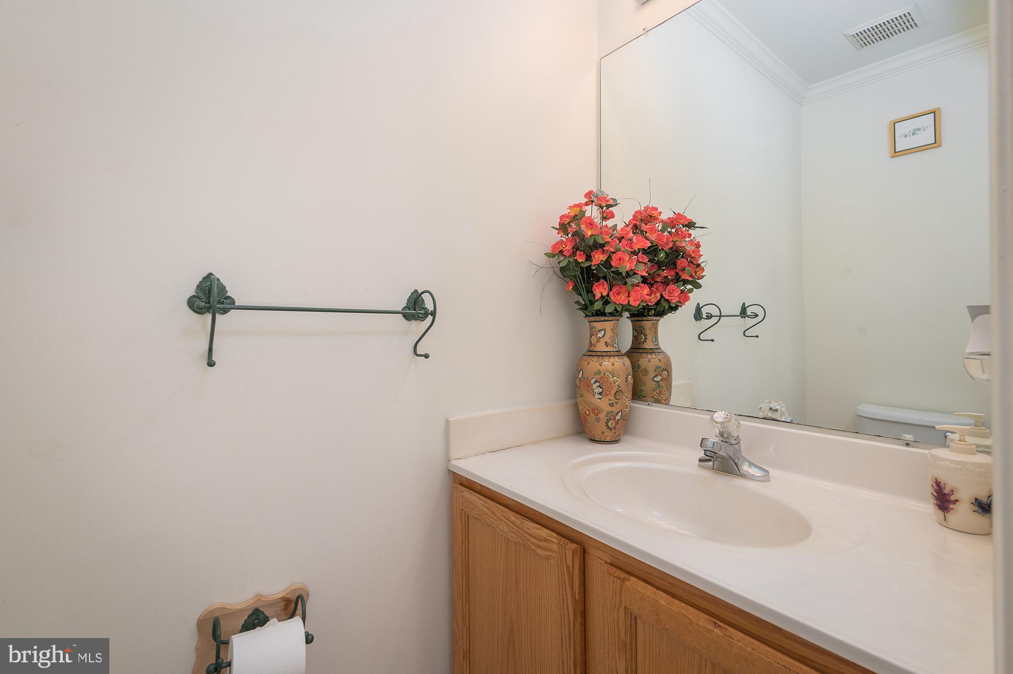 THE VILLAGES OF LYONSFIELD RUN - Residential