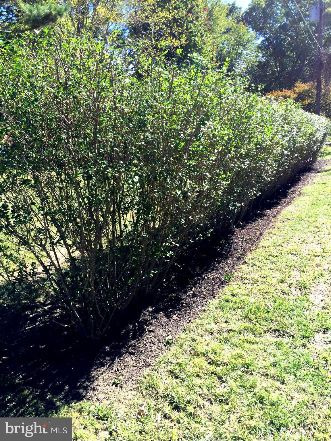 ACCO PARK - Residential