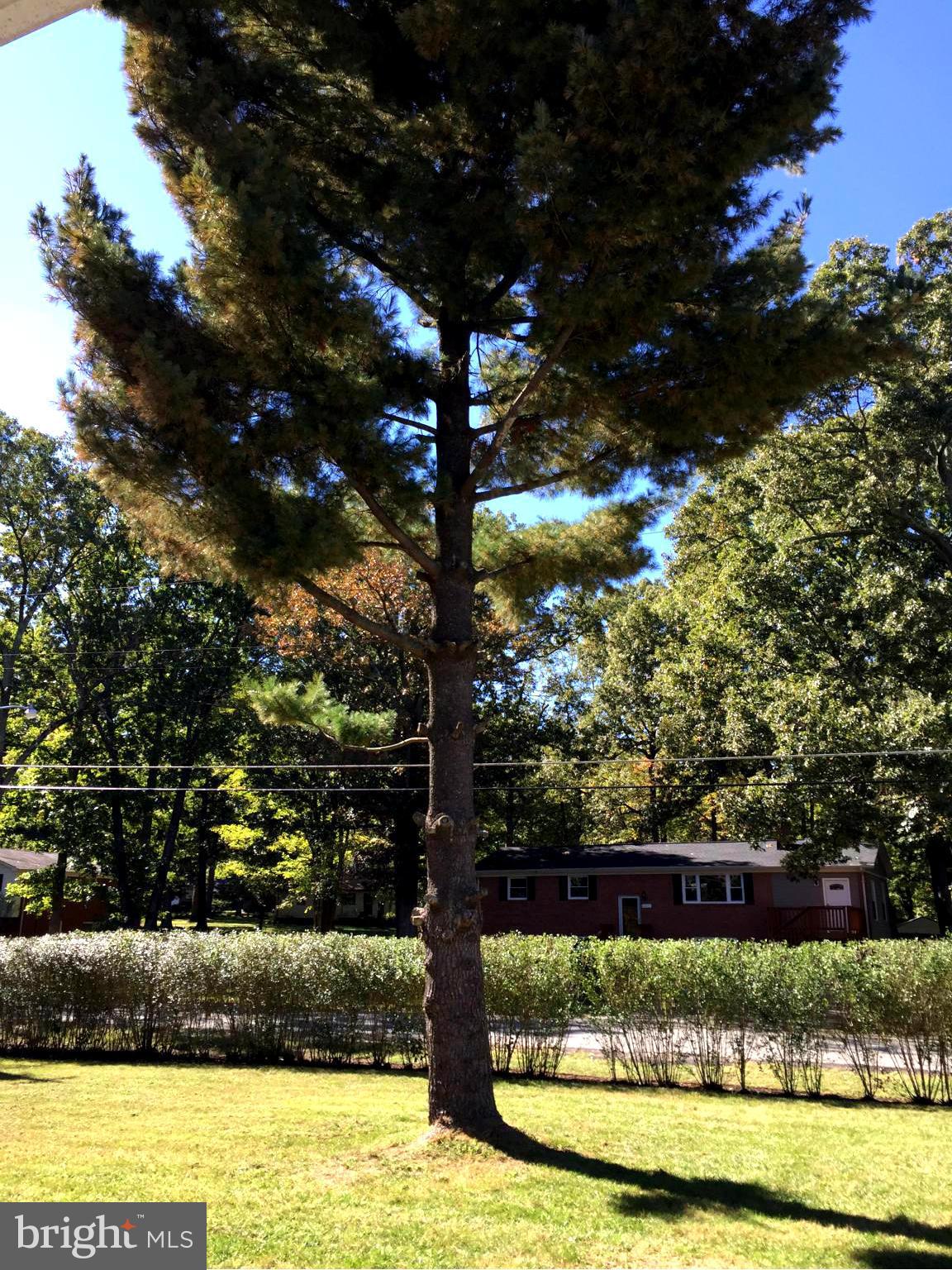 ACCO PARK - Residential