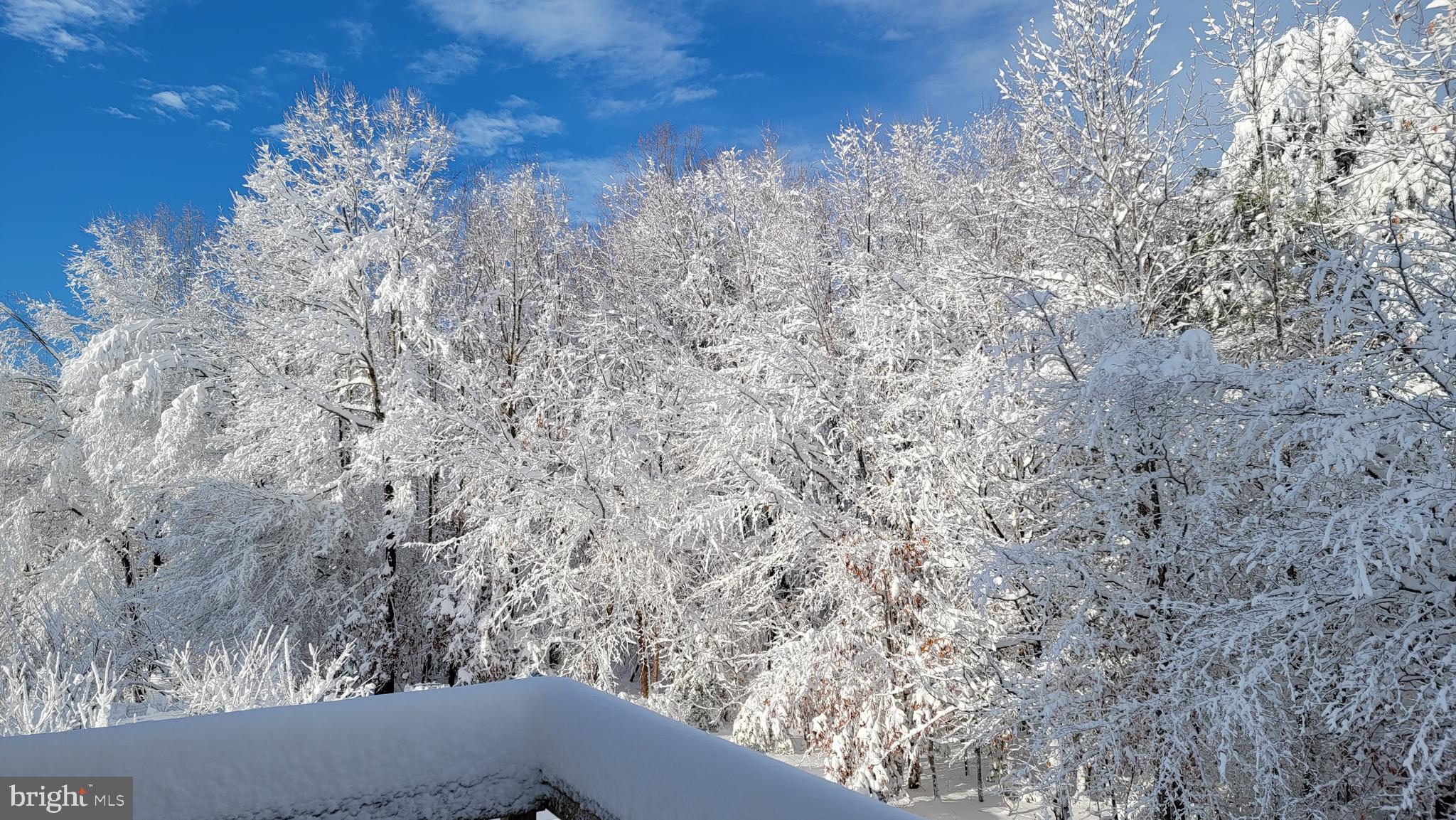 STAFFORD LAKES VILLAGE - Residential Lease