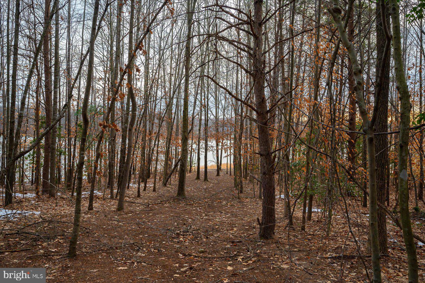 STAFFORD LAKES VILLAGE - Residential Lease