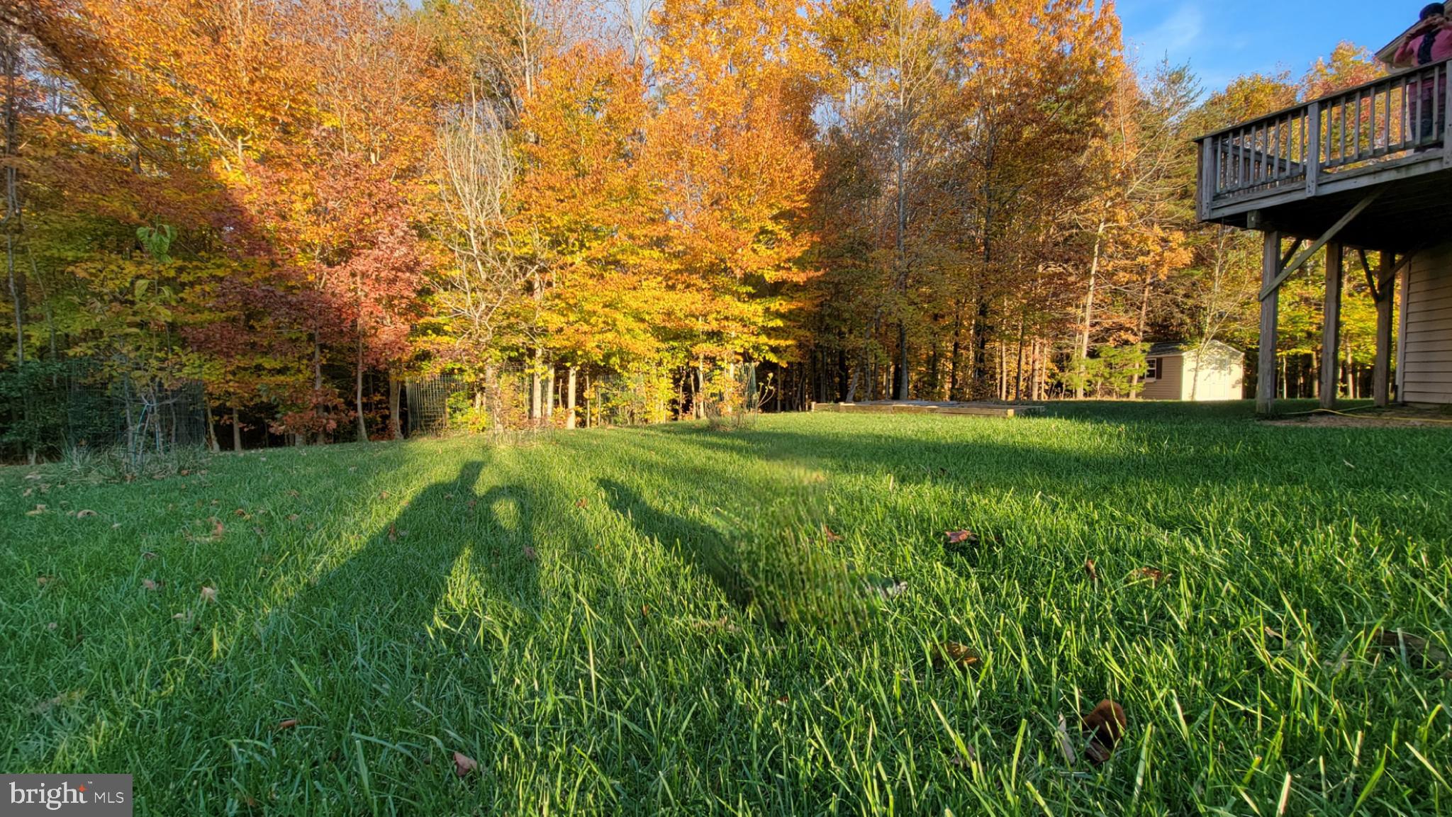 STAFFORD LAKES VILLAGE - Residential Lease