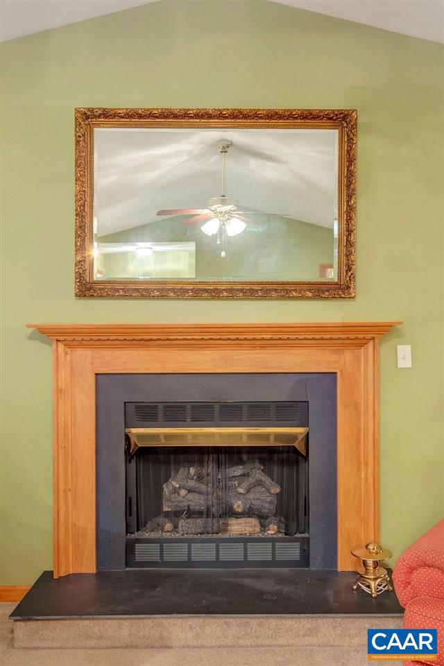 LAKE MONTICELLO - Residential