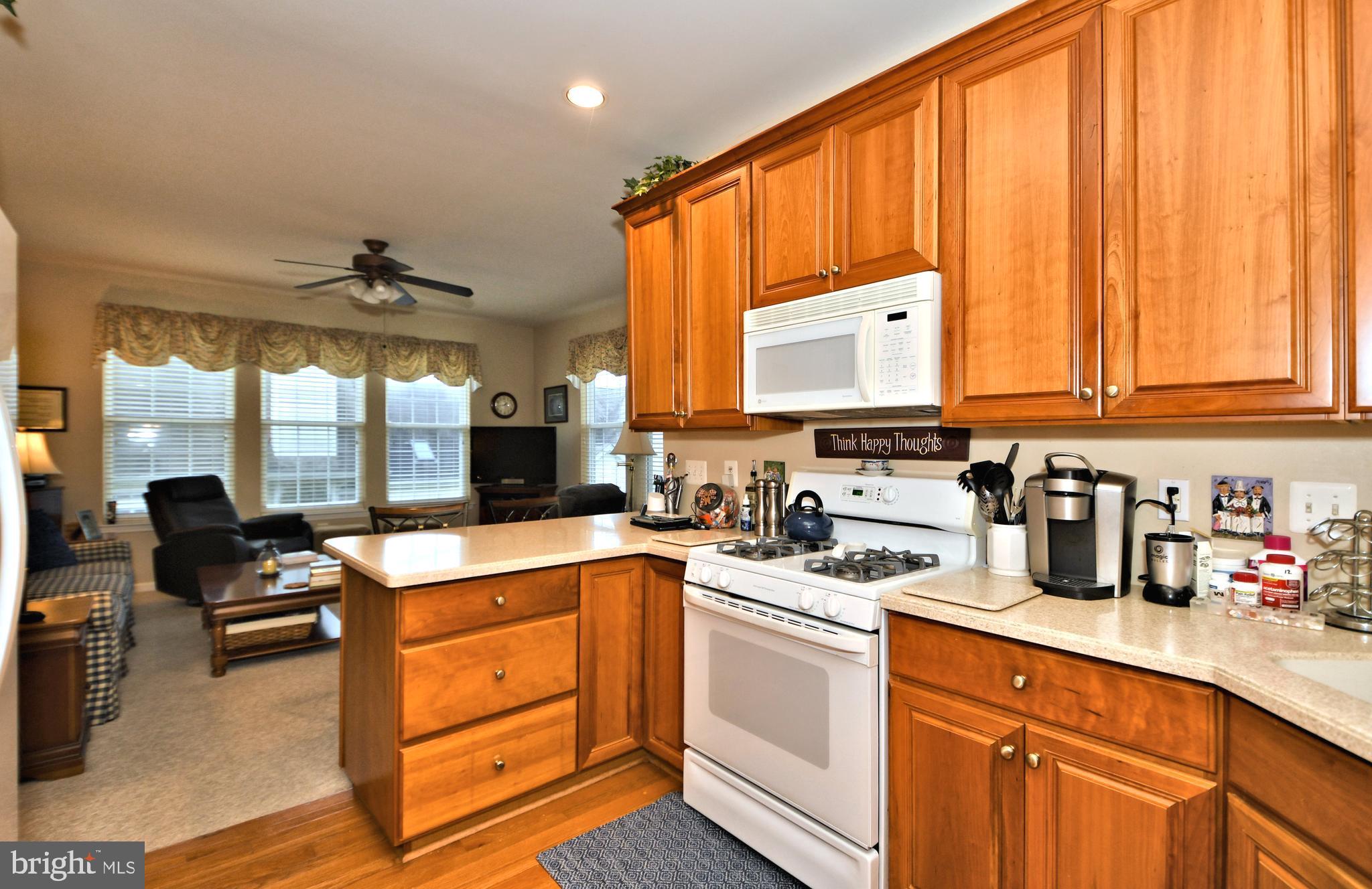 LAMPLIGHTER VILLAGE - Residential