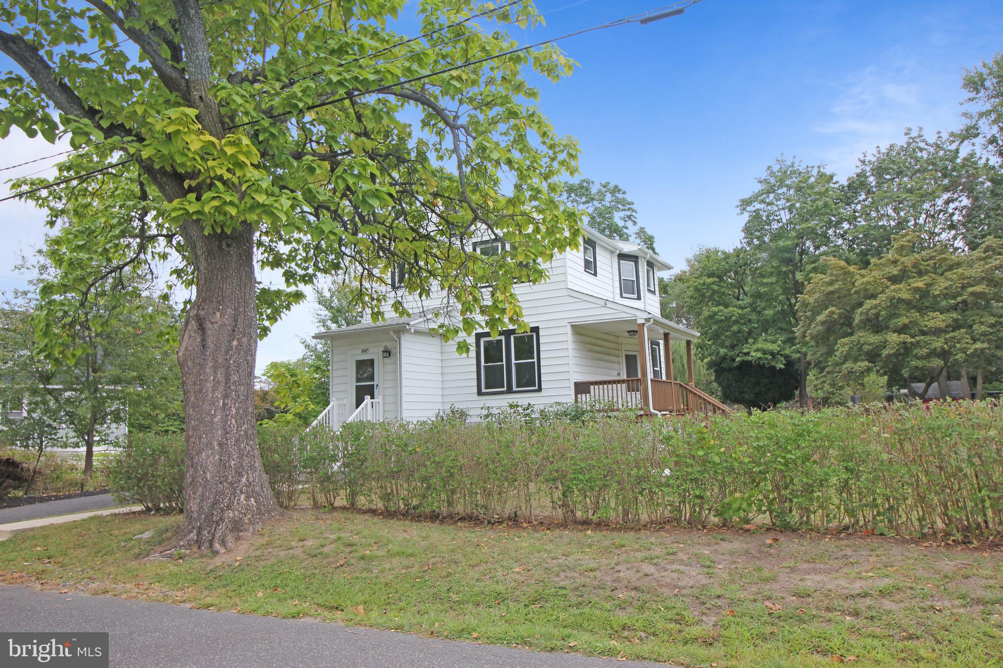 207 ALPHA AVENUE