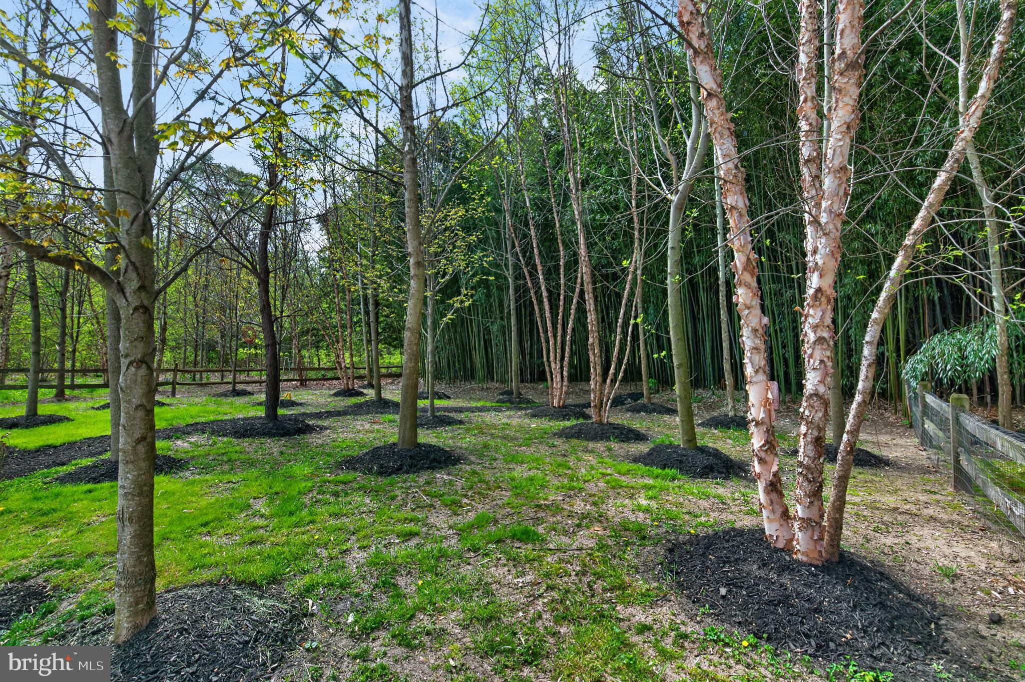 THE COVE - Residential