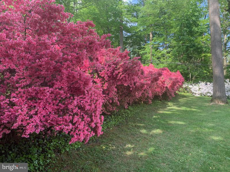 WEIRWOOD - Residential