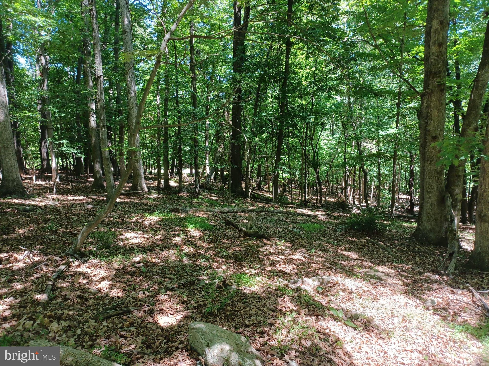 ***Price reduced! Seller motivated and open to negotiating! Bring your best offer! ***Beautiful, serene corner wooded on 2.168 acres perfect for building that mountain getaway you’ve always dreamed of! Mountain views six months of the year! Well-maintained roads. Located in gated community of Somerset in Paw Paw, WV. Annual memberships are available for access to adjacent year-round Avalon Resort, which features vacation condos, cabins, an aquatics center, as well as camping, tennis and hiking trails. Just two hours from DC area, 40 minutes from fabulous shopping and restaurants in Winchester, VA, and 30 minutes to the spas, shops, and restaurants of historic Berkeley Springs, WV. Come check out this unique property and find out precisely why West Virginia is considered "Almost Heaven."