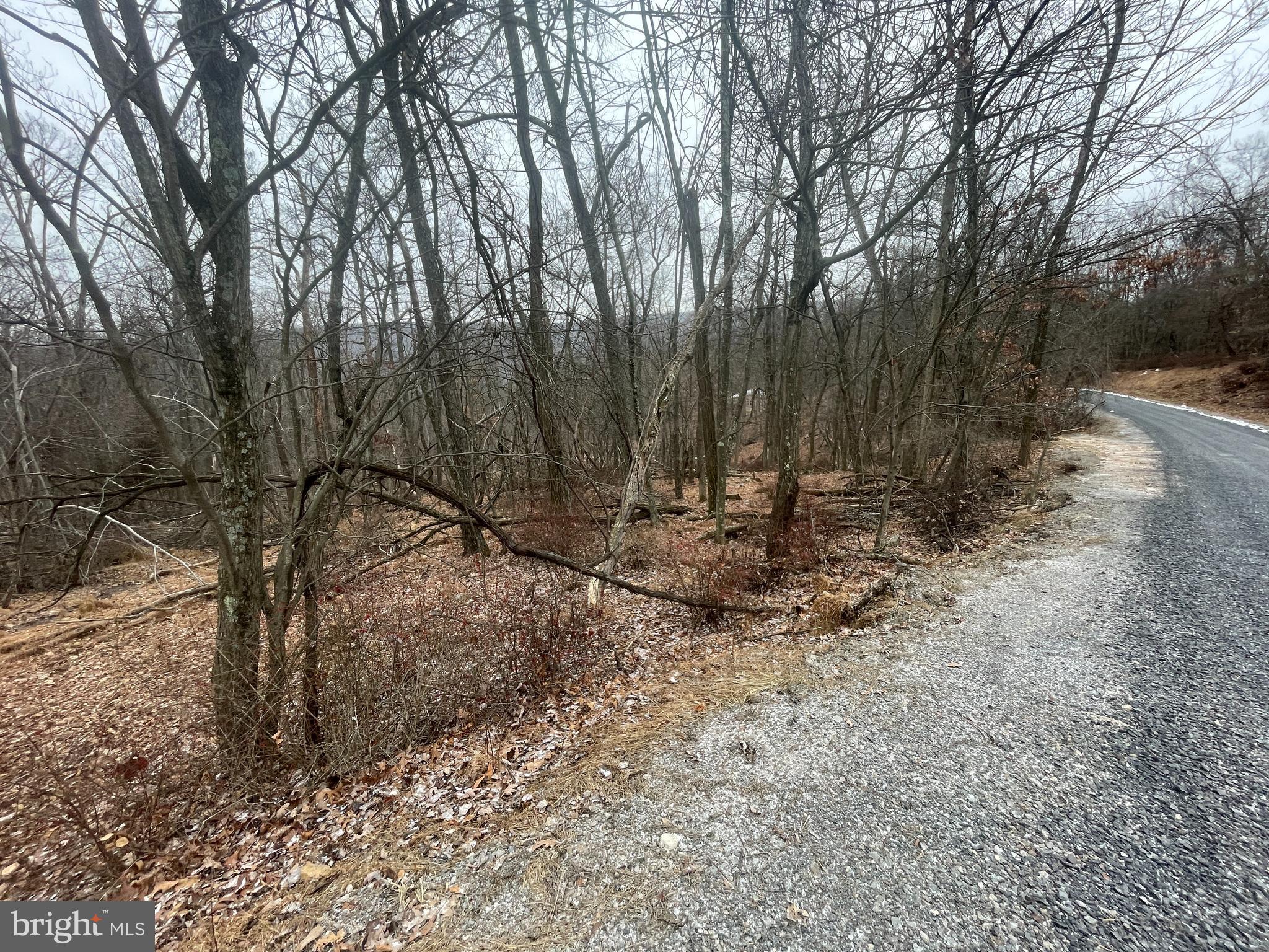 Lot 40 WILD APPLE LANE