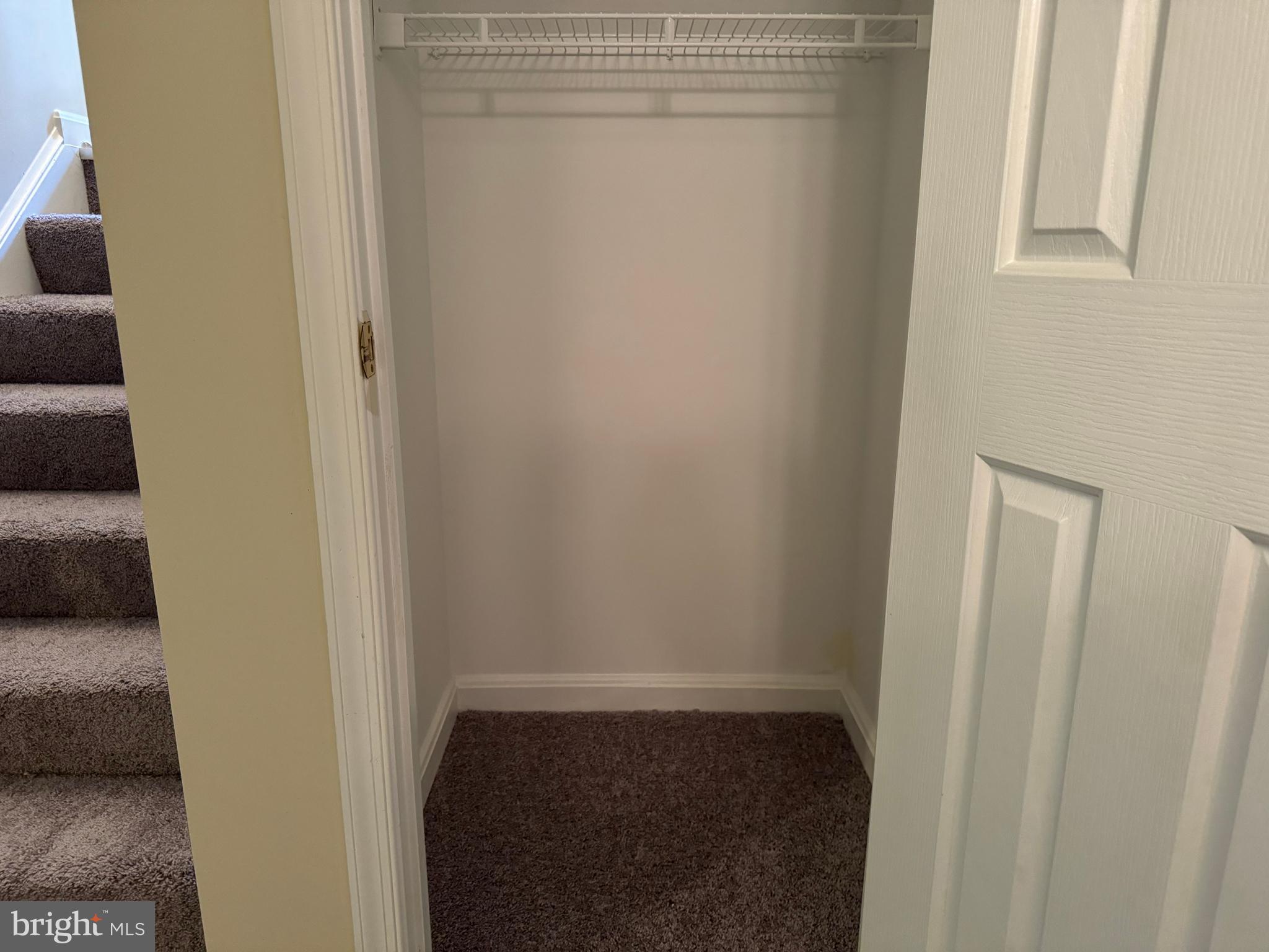 SHADE TREE - Residential