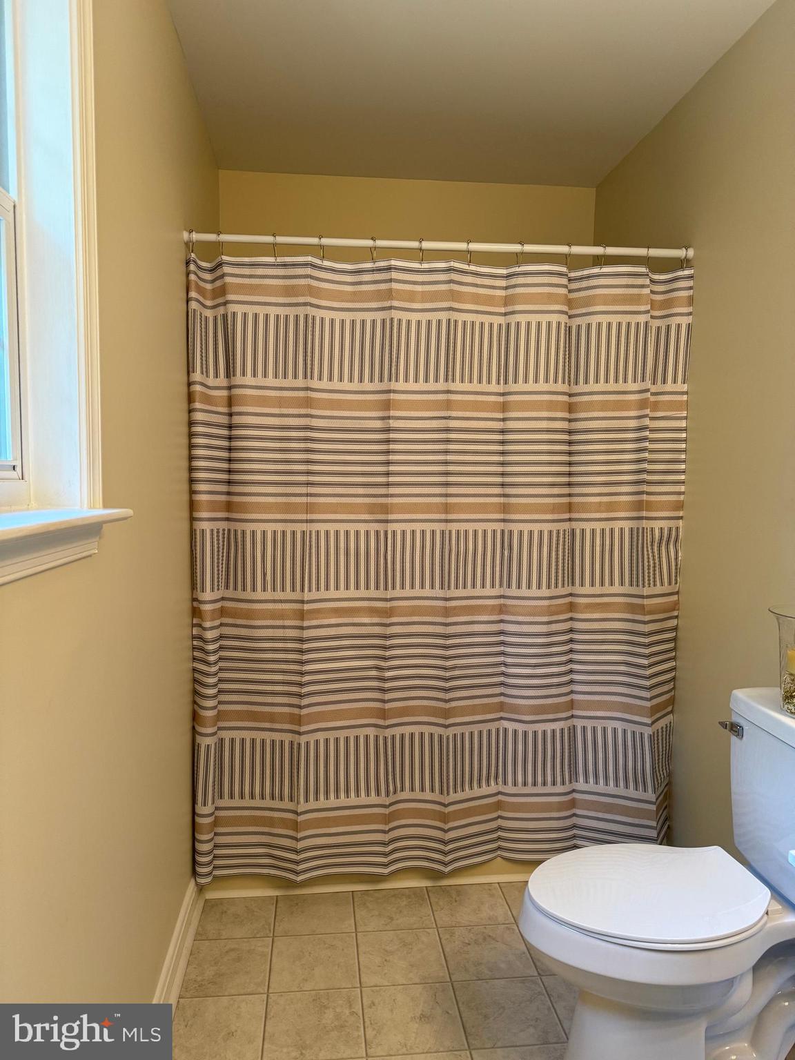 SHADE TREE - Residential