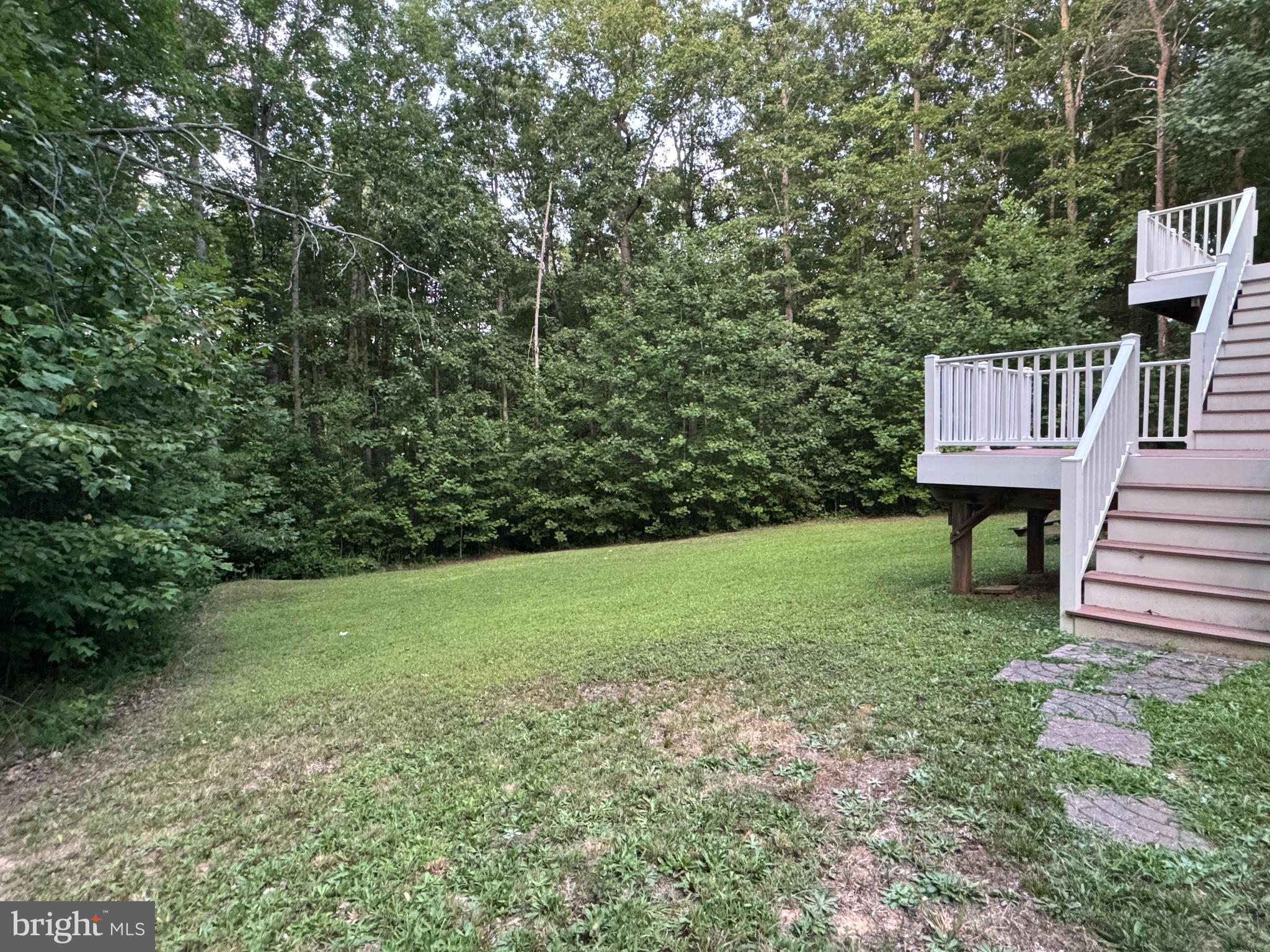 SHADE TREE - Residential