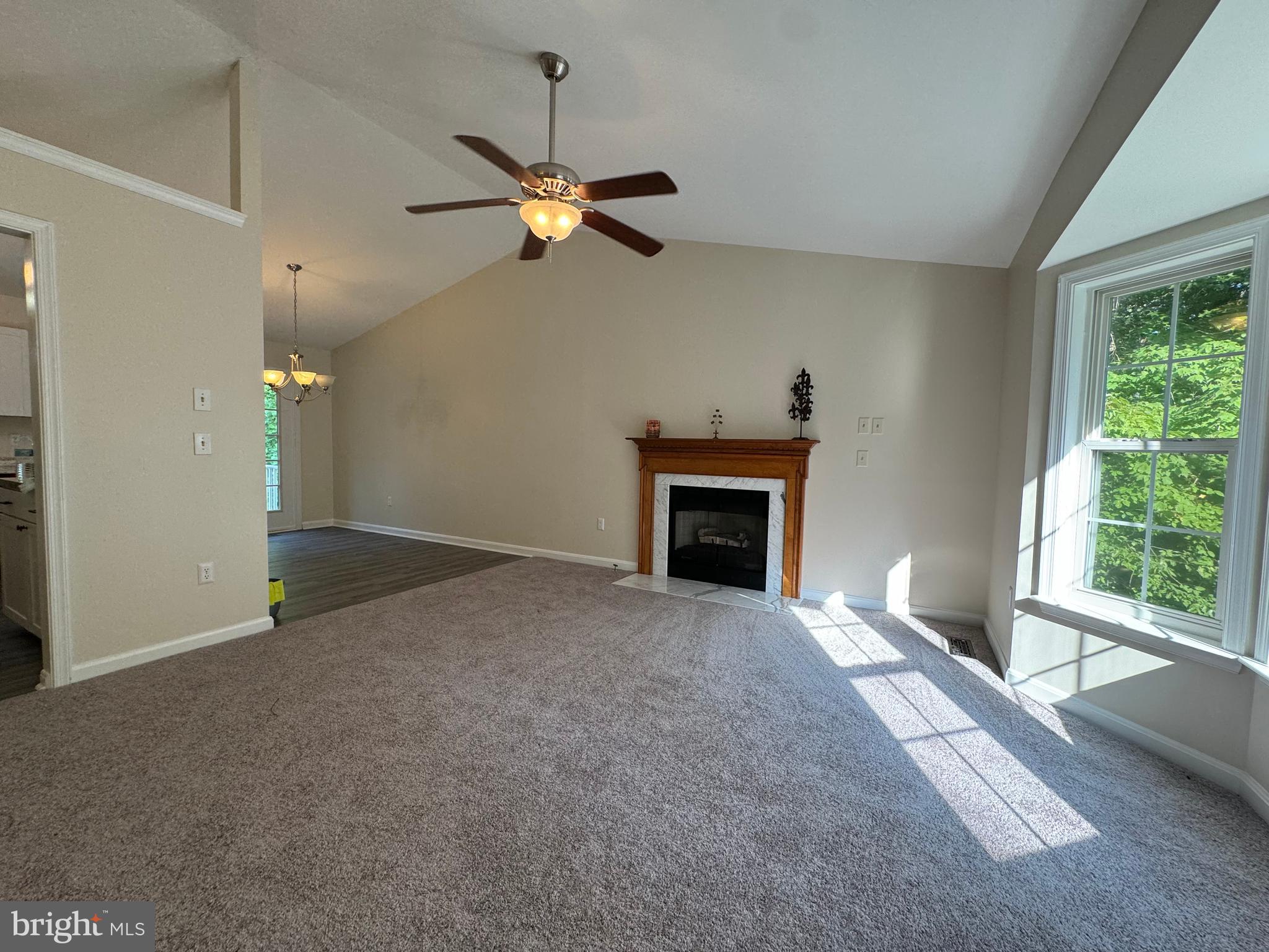 SHADE TREE - Residential