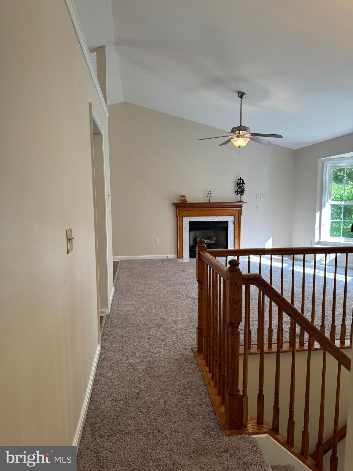 SHADE TREE - Residential