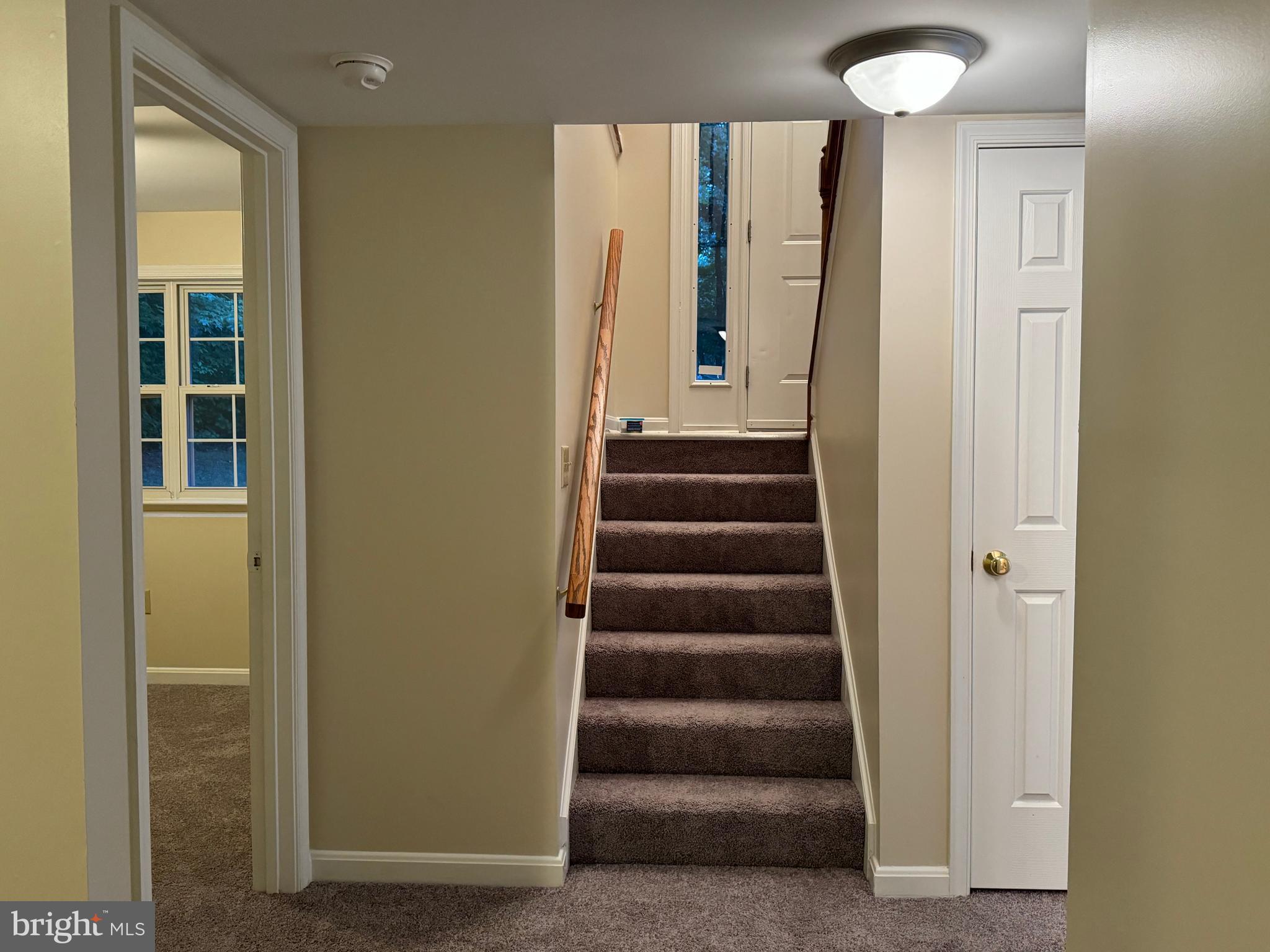 SHADE TREE - Residential