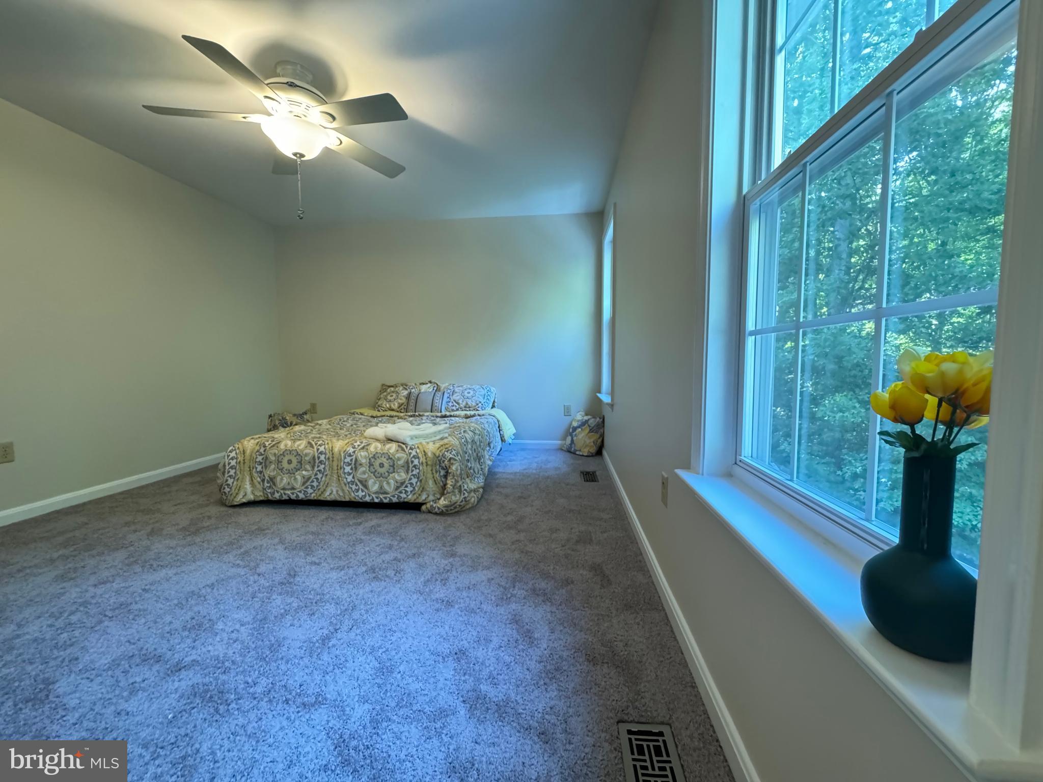 SHADE TREE - Residential