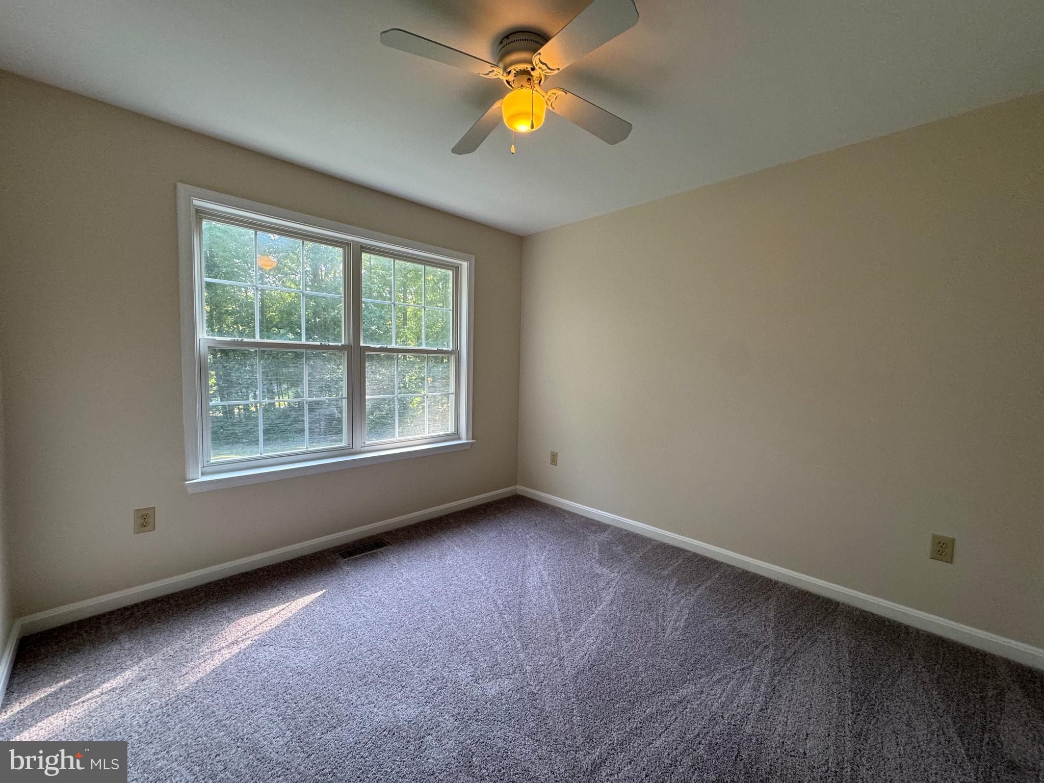 SHADE TREE - Residential