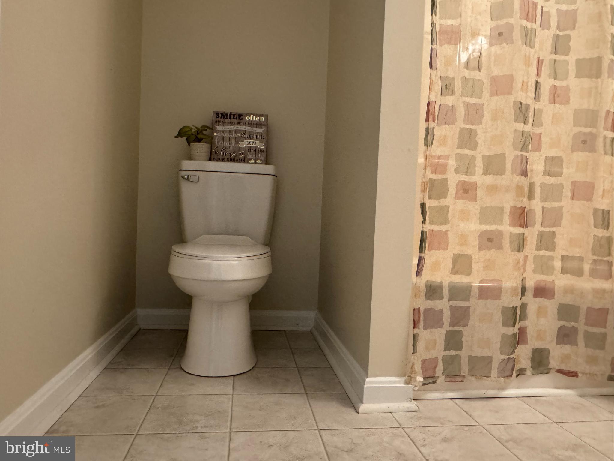 SHADE TREE - Residential