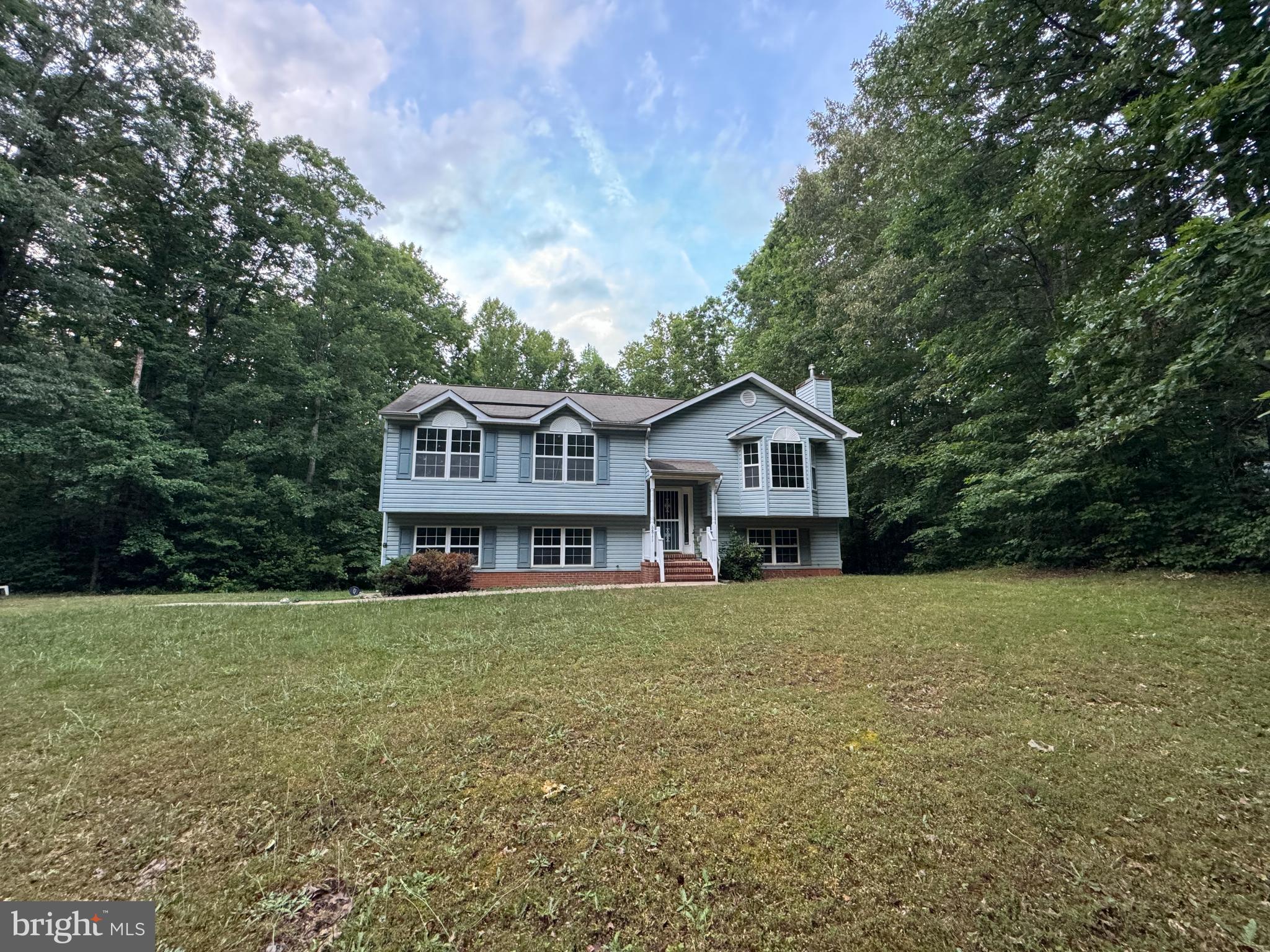 SHADE TREE - Residential