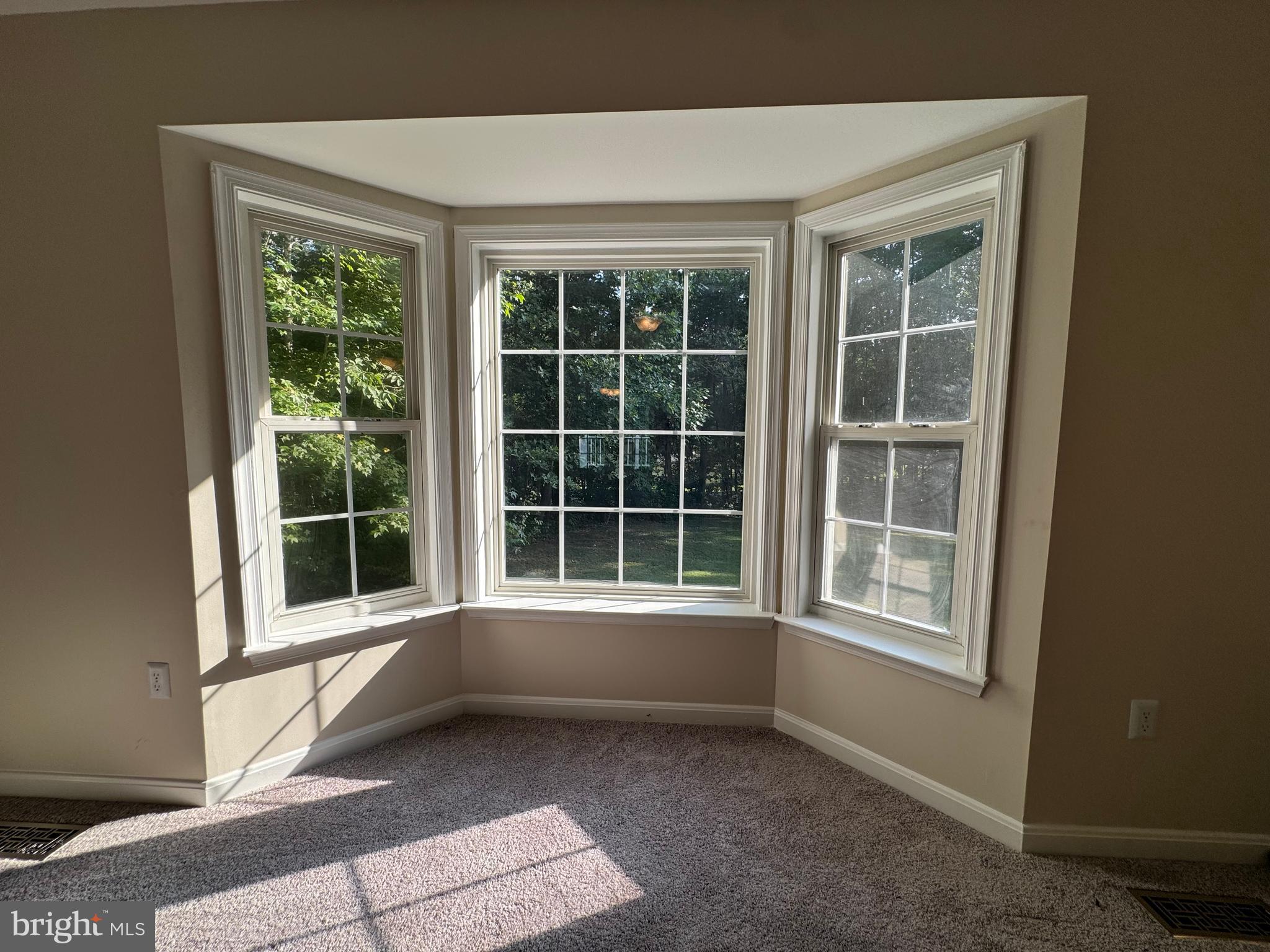 SHADE TREE - Residential