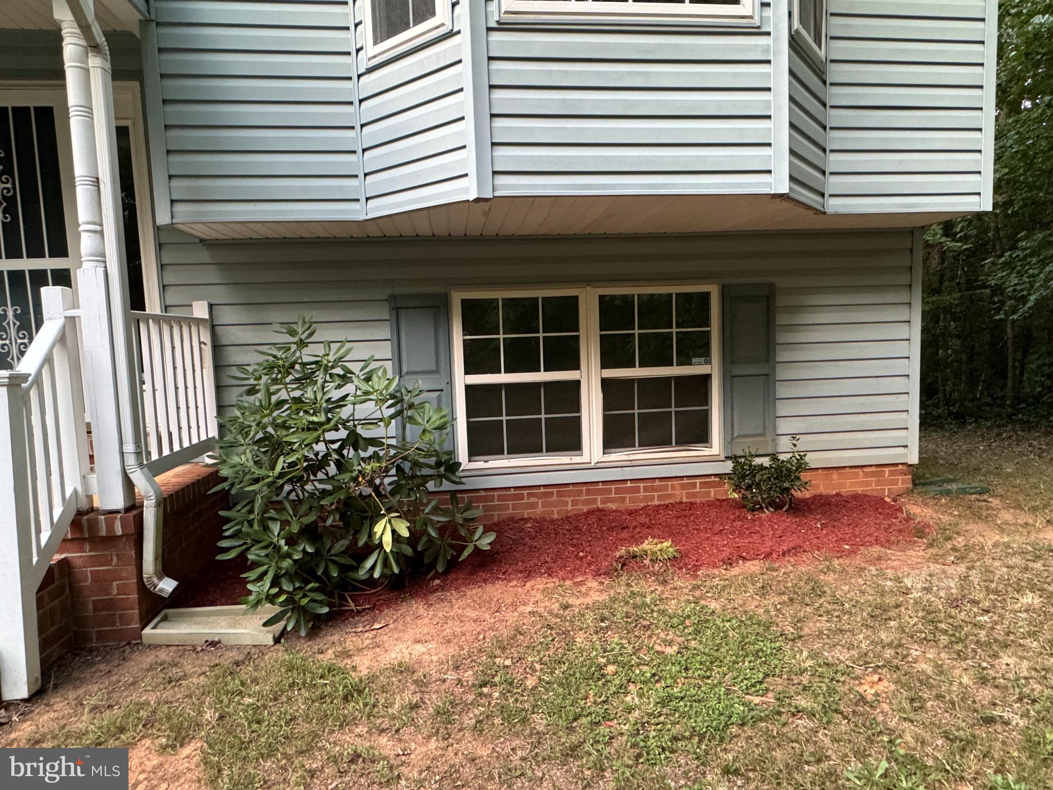 SHADE TREE - Residential