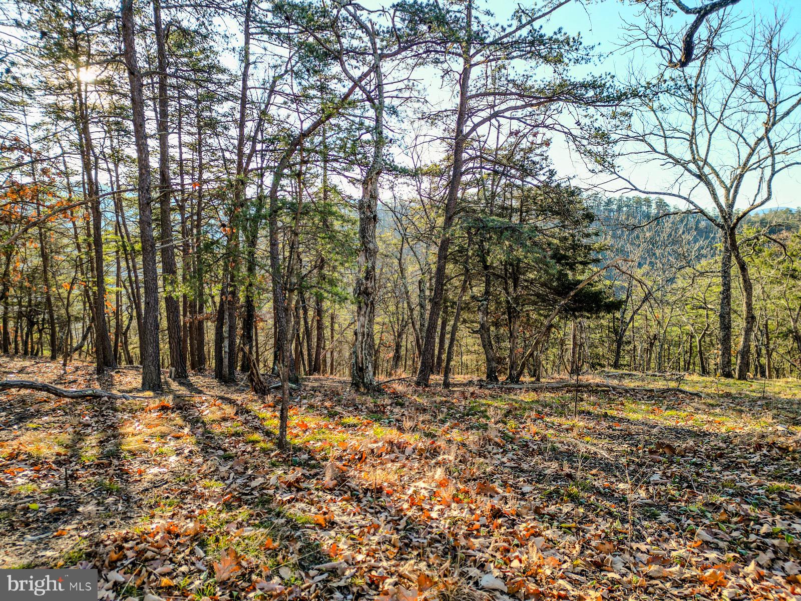 MOUNTAIN COVE - Land