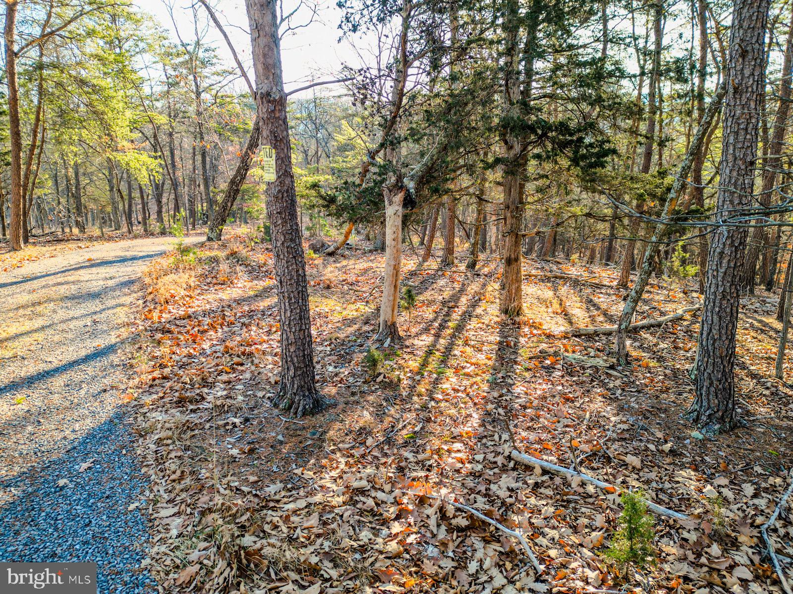 MOUNTAIN COVE - Land