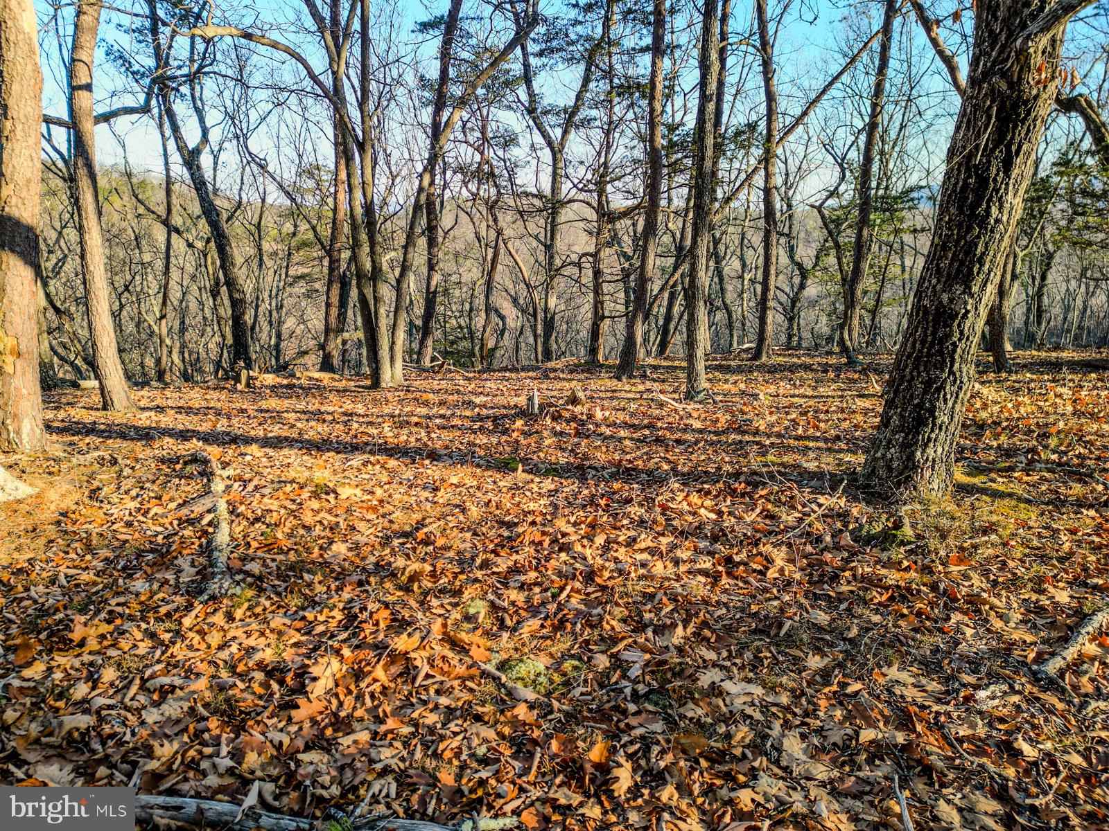 MOUNTAIN COVE - Land