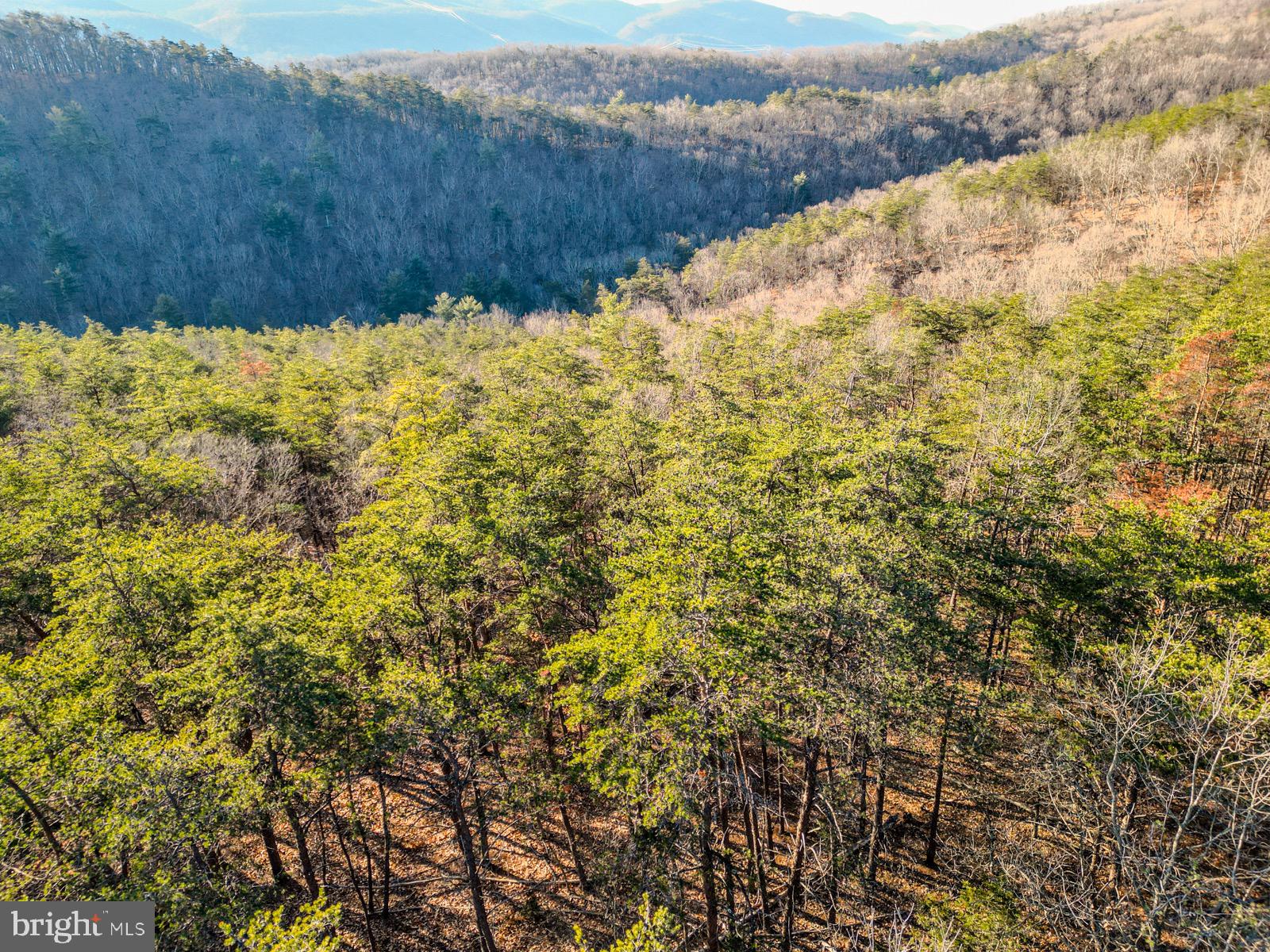 MOUNTAIN COVE - Land