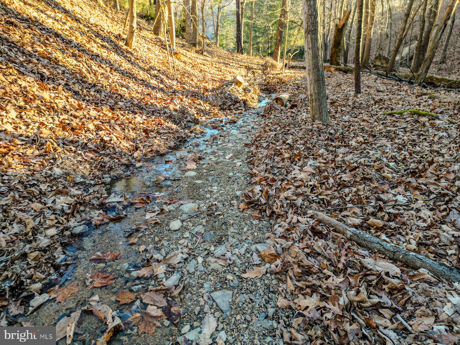 MOUNTAIN COVE - Land