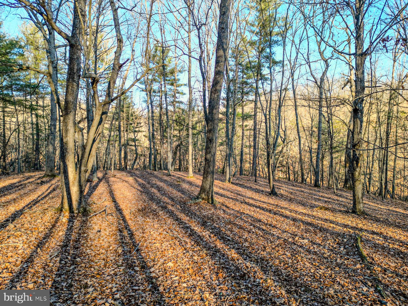 MOUNTAIN COVE - Land