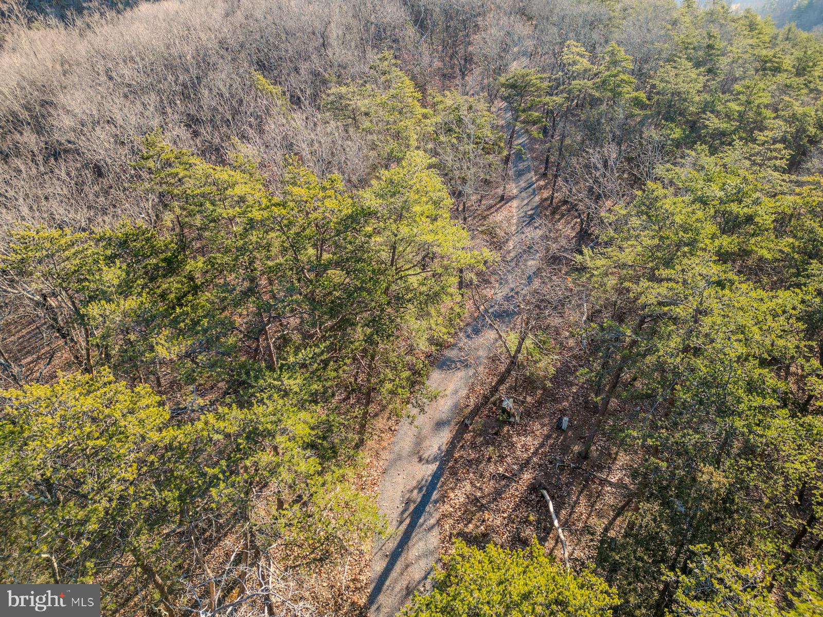 MOUNTAIN COVE - Land