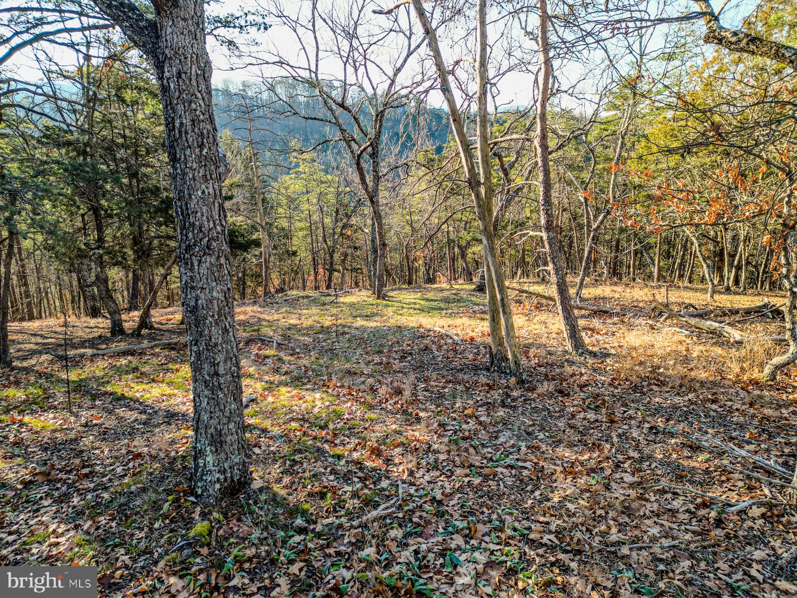 MOUNTAIN COVE - Land