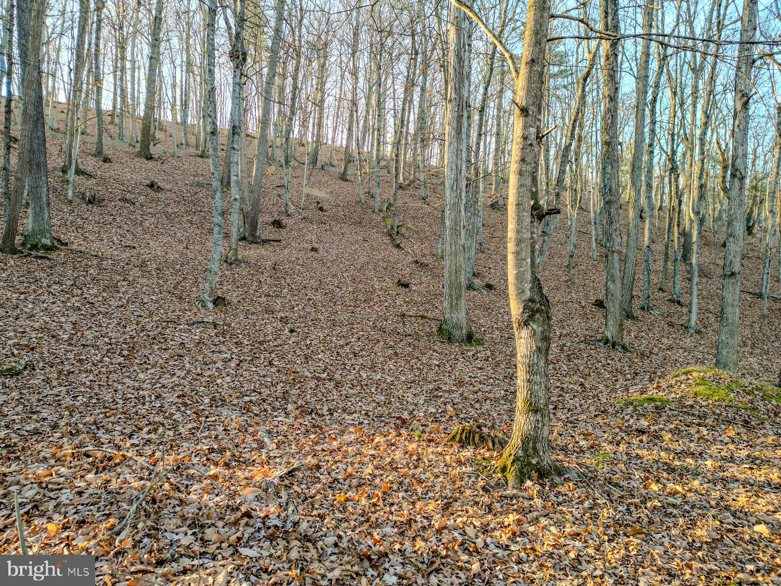 MOUNTAIN COVE - Land