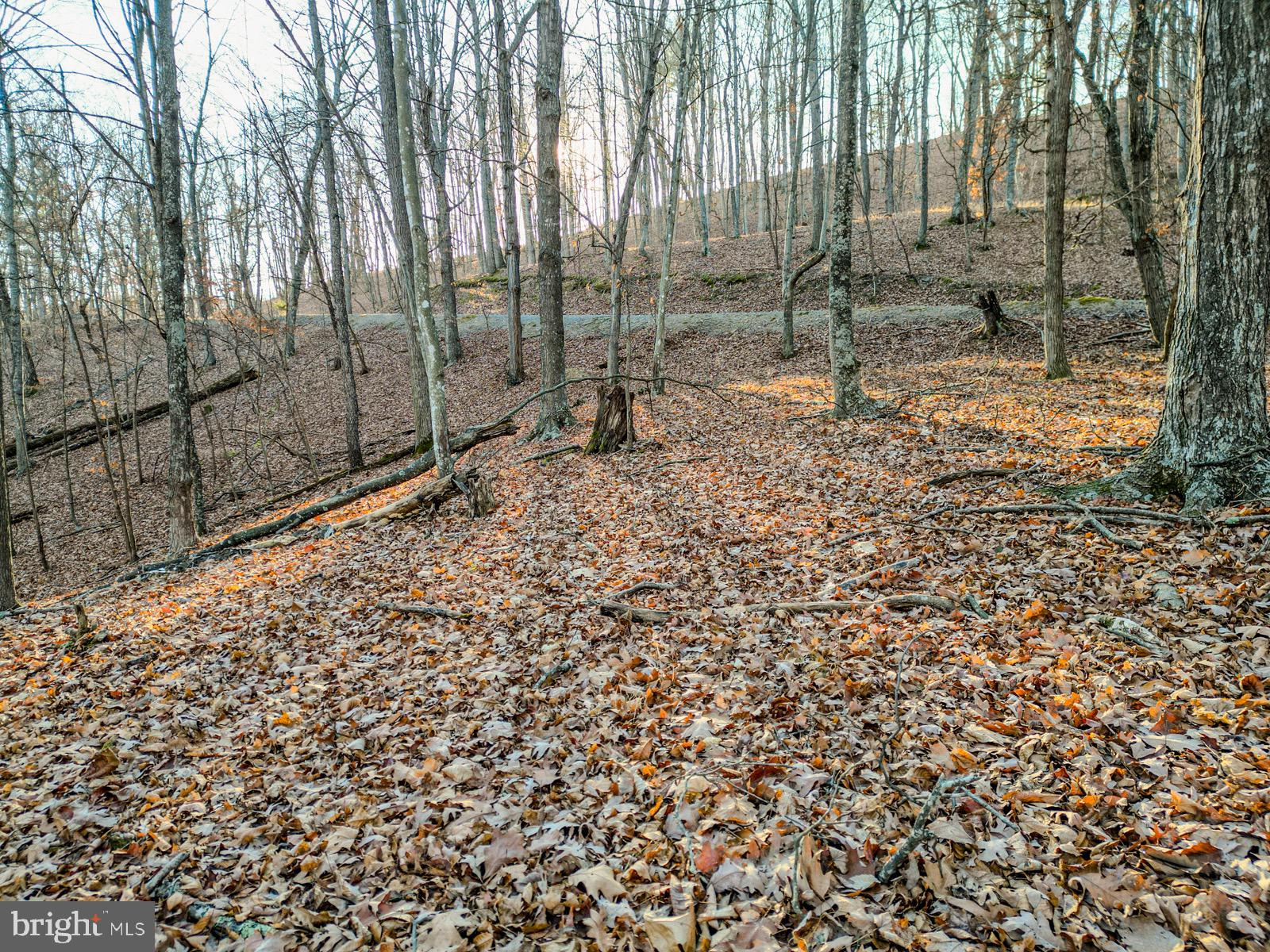 MOUNTAIN COVE - Land