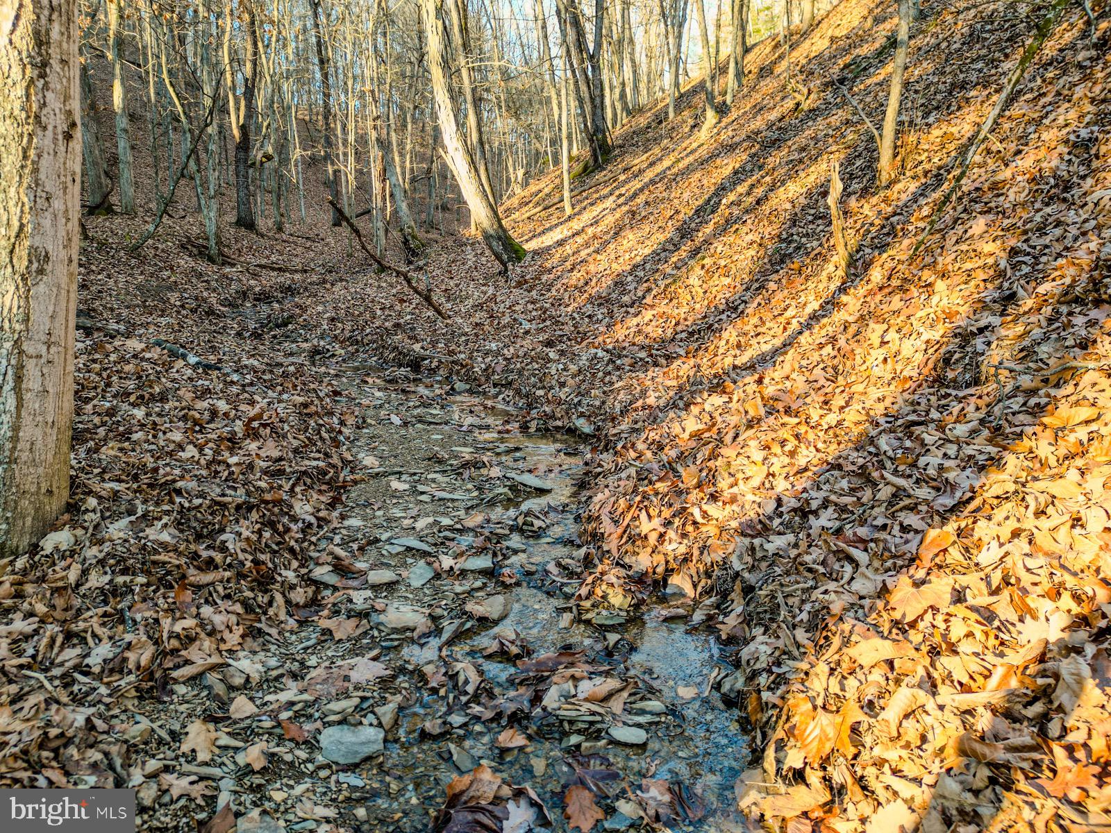 MOUNTAIN COVE - Land