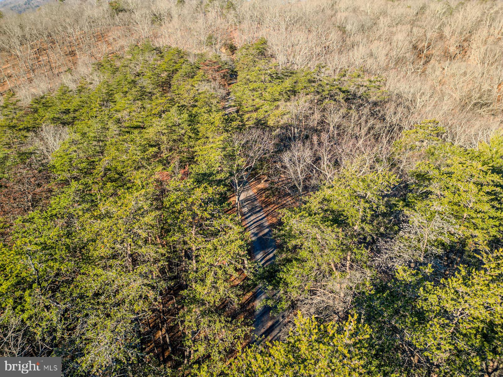 MOUNTAIN COVE - Land