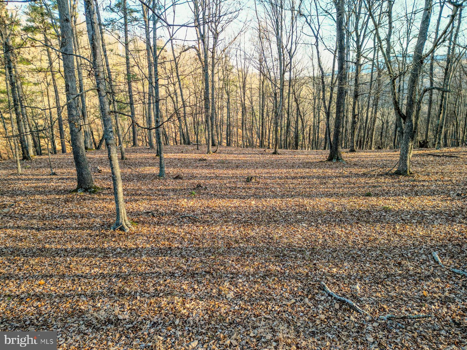 MOUNTAIN COVE - Land