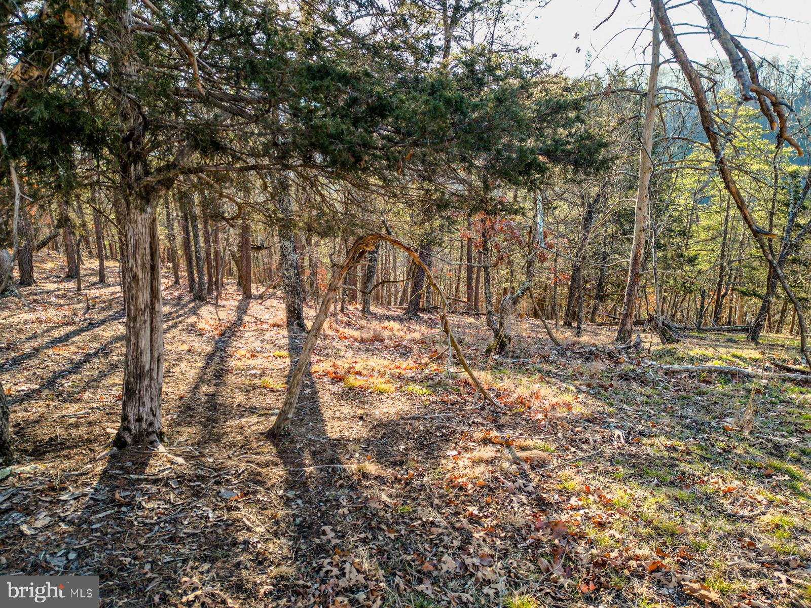 MOUNTAIN COVE - Land