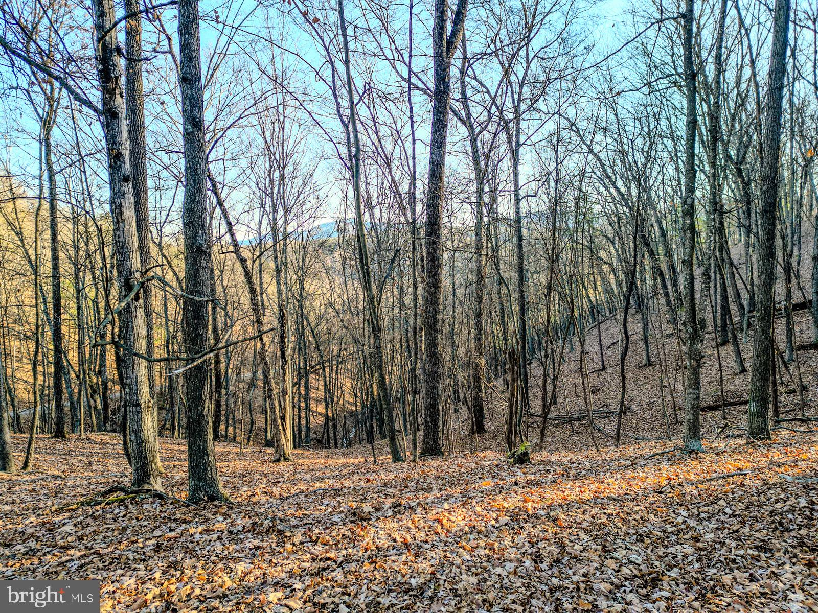 MOUNTAIN COVE - Land